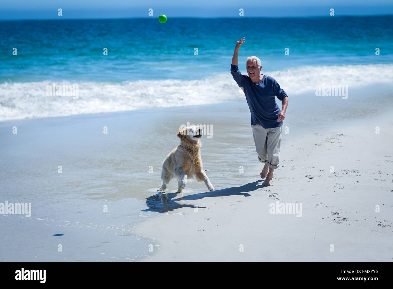 Man throwing ball for dog hires stock photography and images Alamy