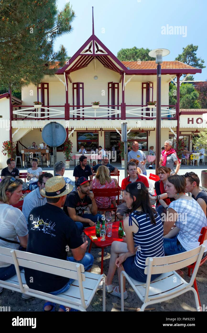 France Gironde Bassin Darcachon Cap Ferret Herbe