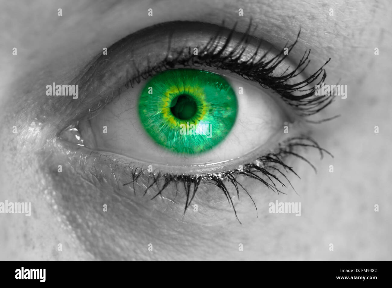 Bright Green Eyes Close Up