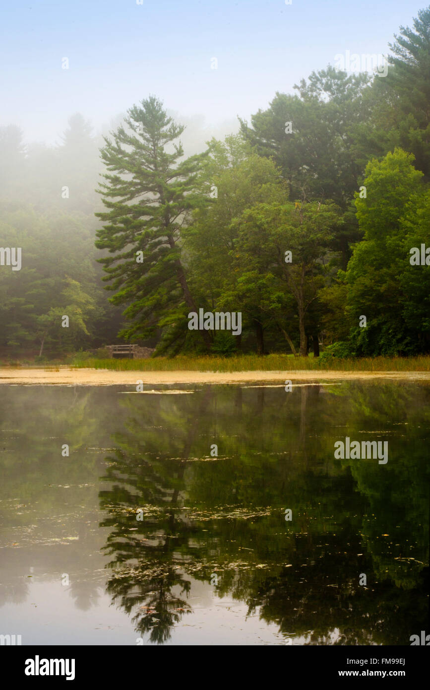 Lake scenic park hires stock photography and images Alamy