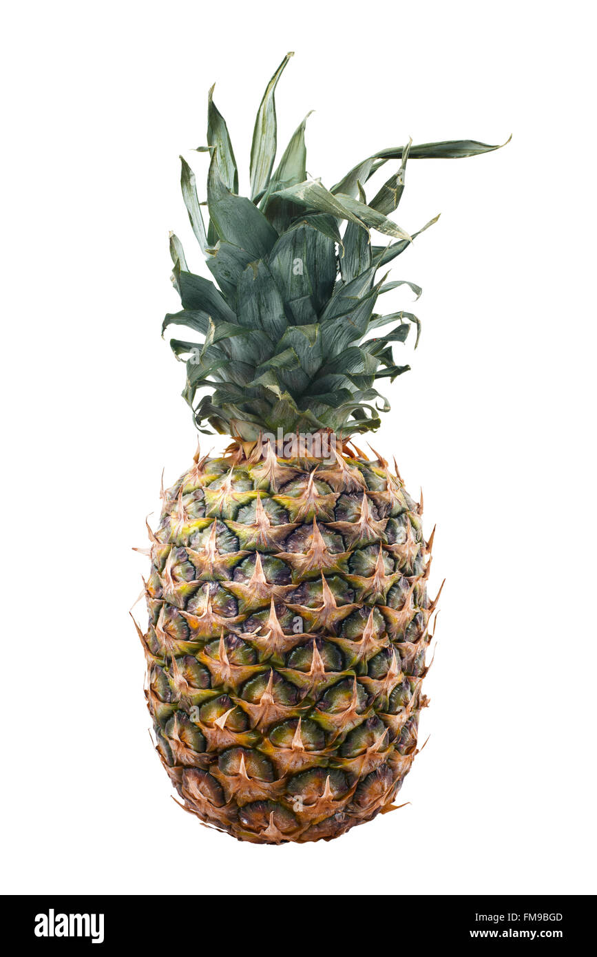 Isolated pineapple fruit, concept photography on empty background with clipping path. Stock Photo