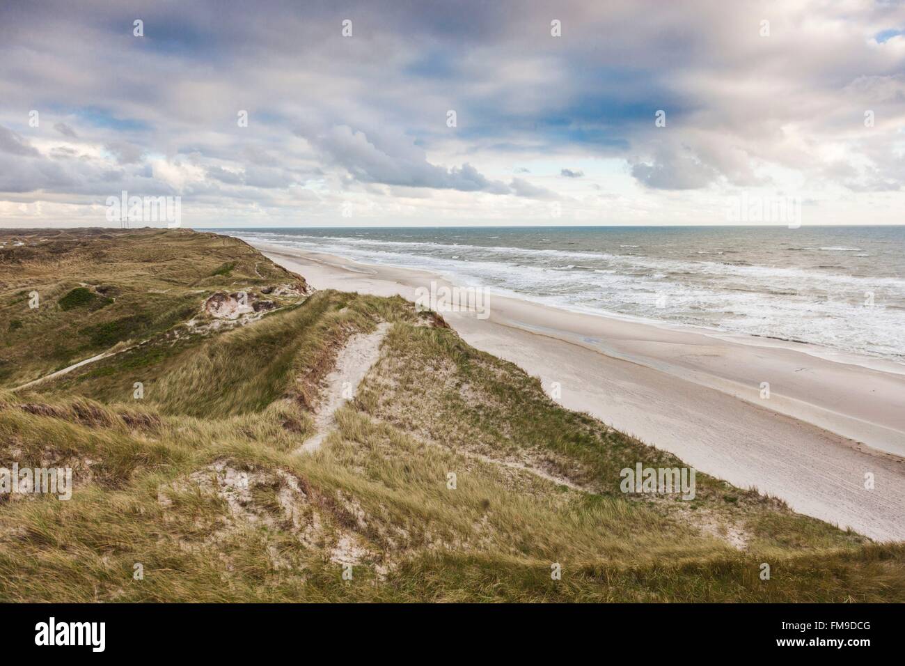 Denmark, Jutland, Danish Riviera, Hvide Sande, coastal dunes, dusk Stock Photo