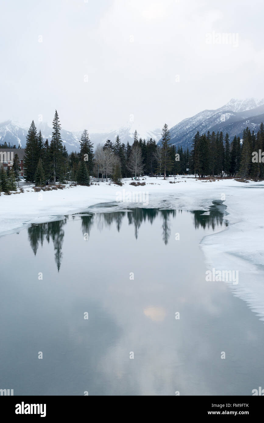 A frozen landscape in overcast conditions at the Bow River in the Rockies at Banff Canada in winter with snow Stock Photo