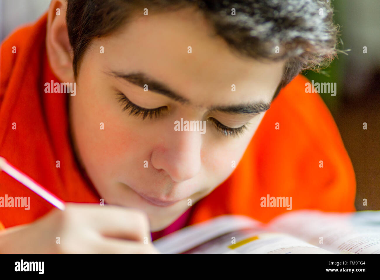 caucasian boy doing homeworks Stock Photo Alamy