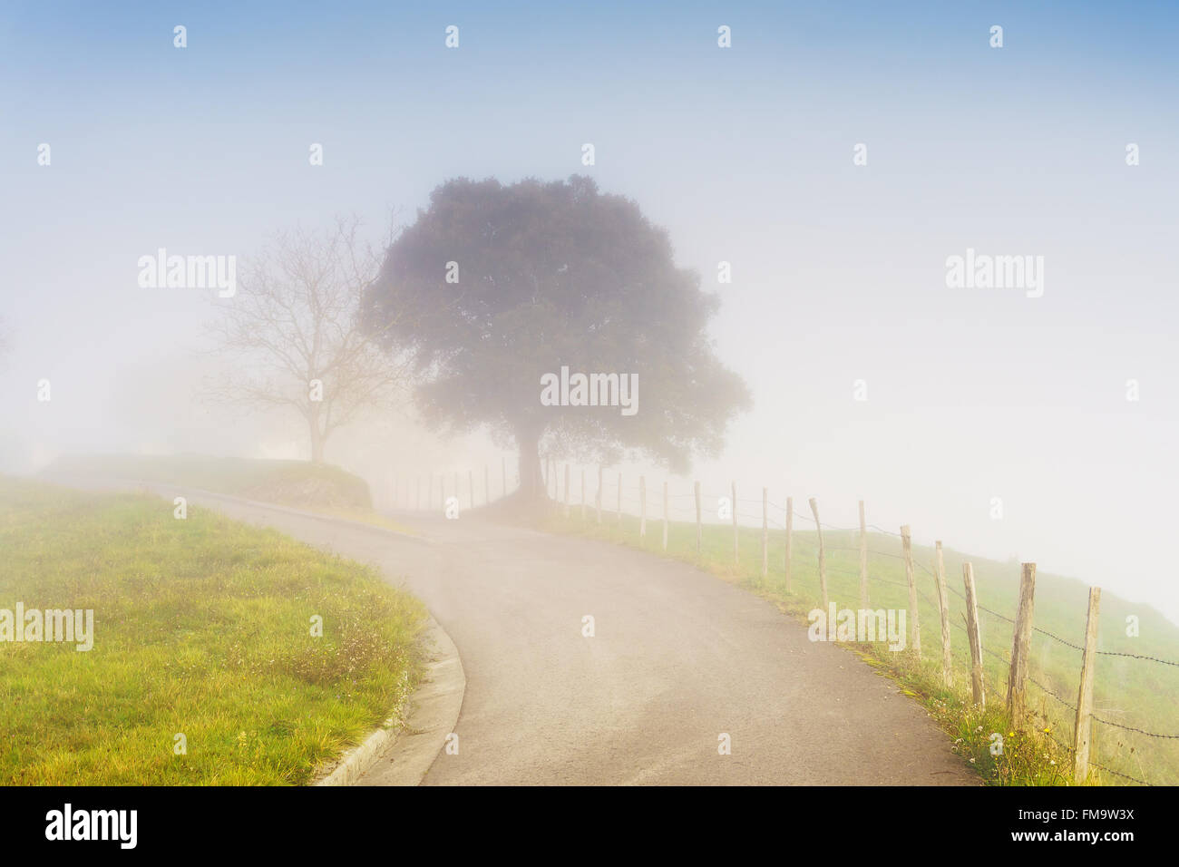 country road with sunlight and morning fog Stock Photo - Alamy