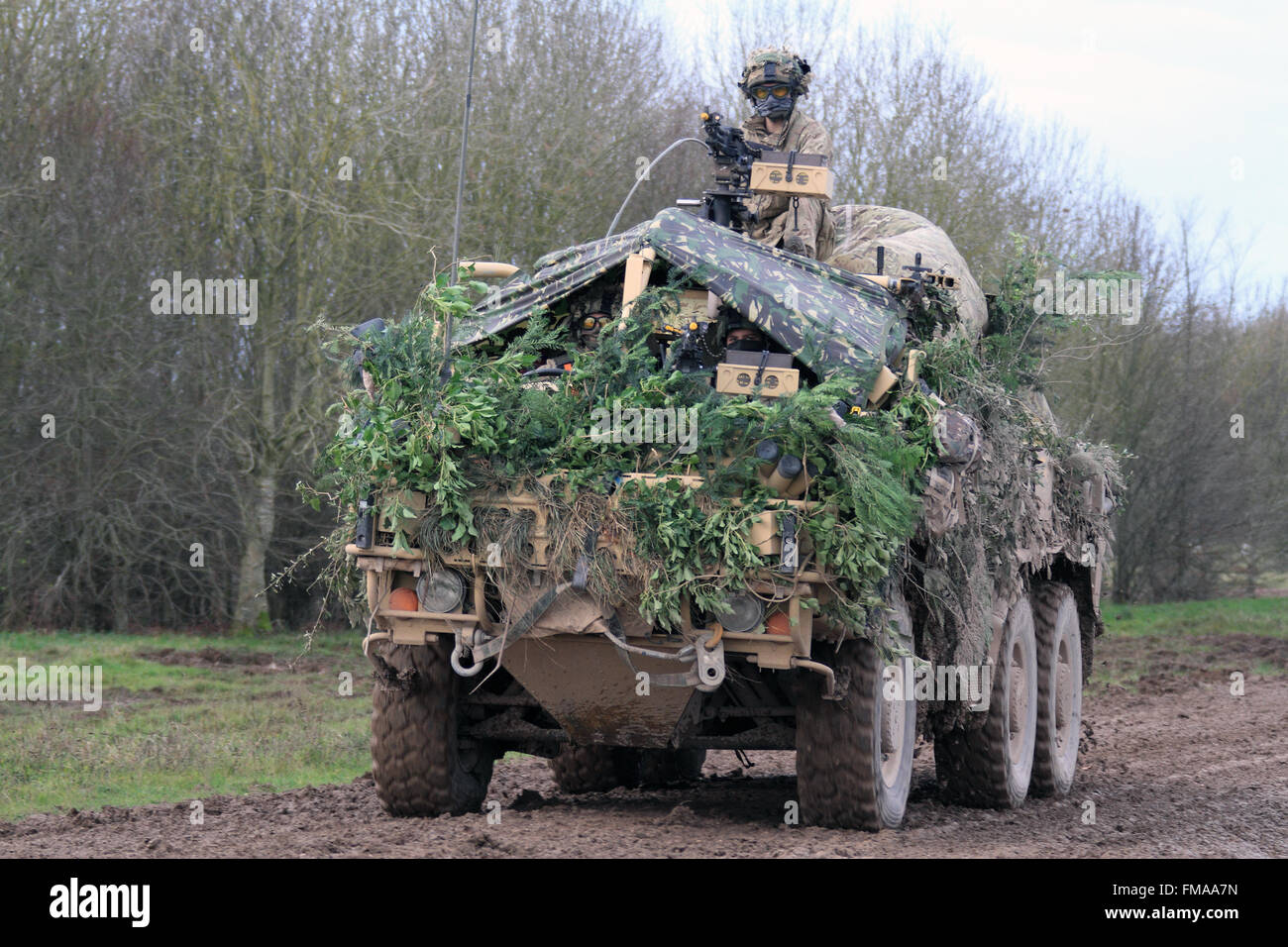 Coyote tactical support vehicle TSV Stock Photo