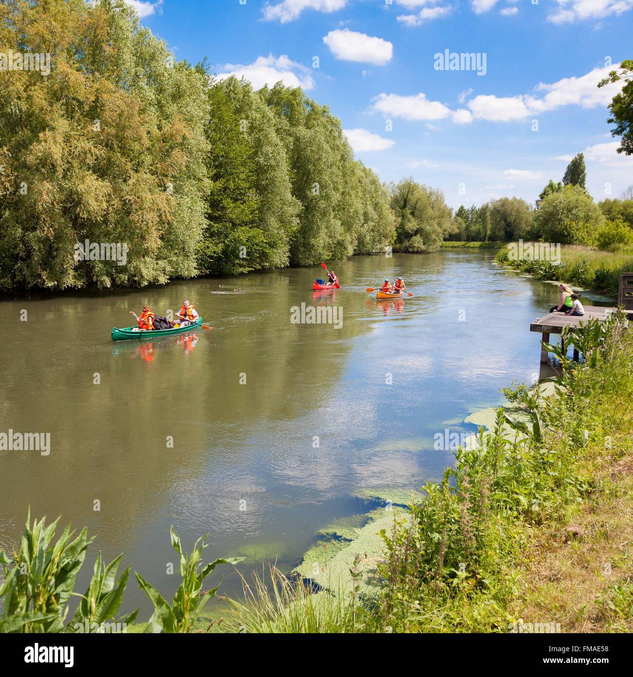France, Somme, Abbeville, kayak ride on the Somme canal Stock Photo Alamy