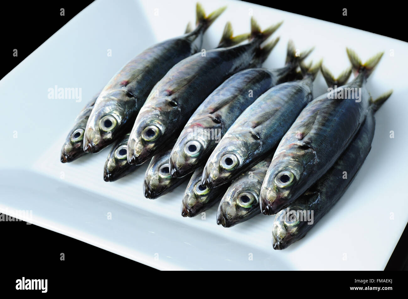 Fresh sardine on a white plate. Stock Photo