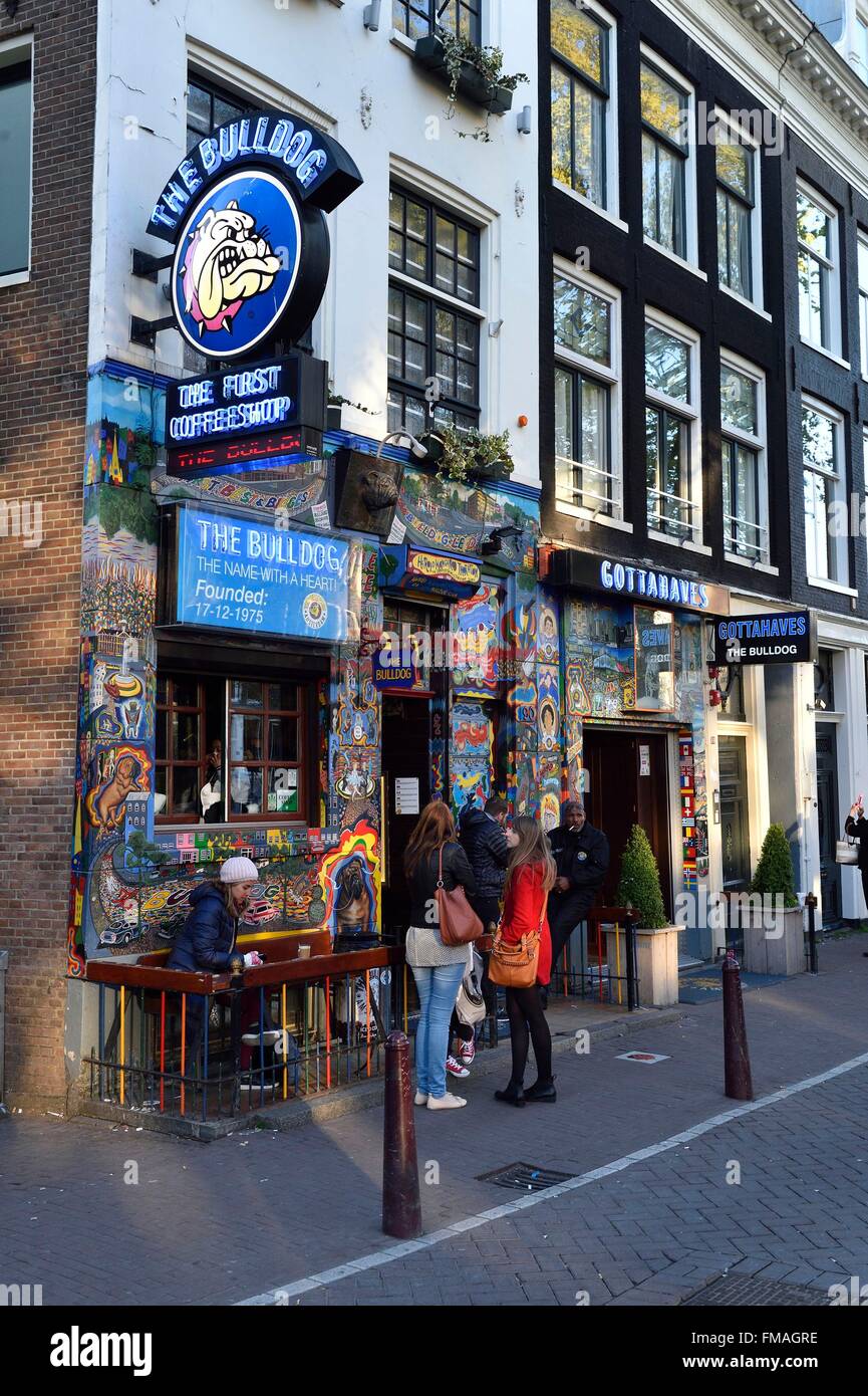 Netherlands, Northern Holland, Amsterdam, Red Light District, Oudezijds Voorburgwal canal, Coffee Shop The Bulldog Stock Photo