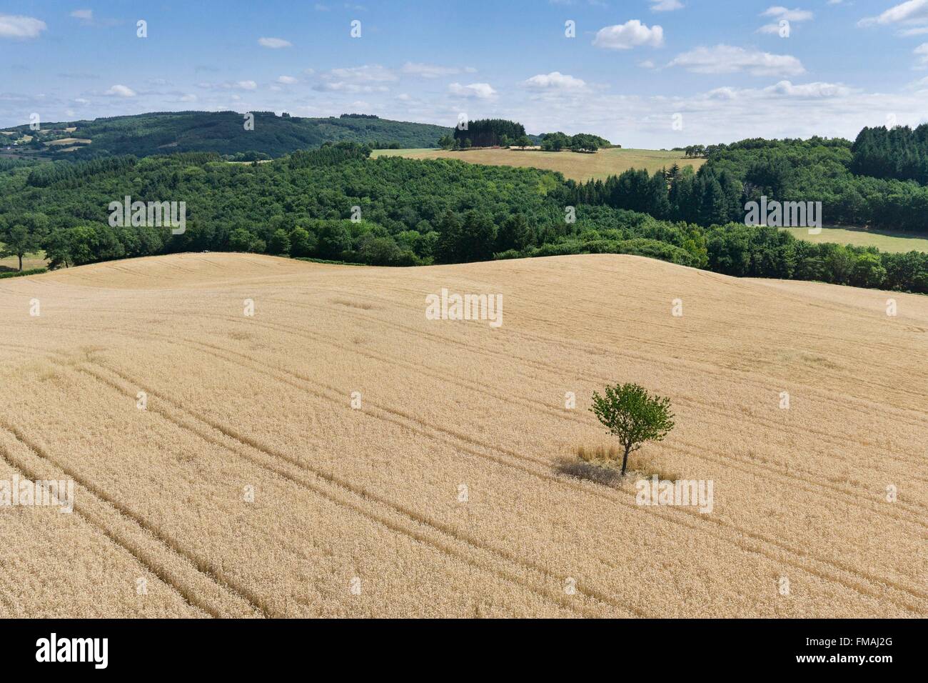 Wheat field aerial hi-res stock photography and images - Alamy