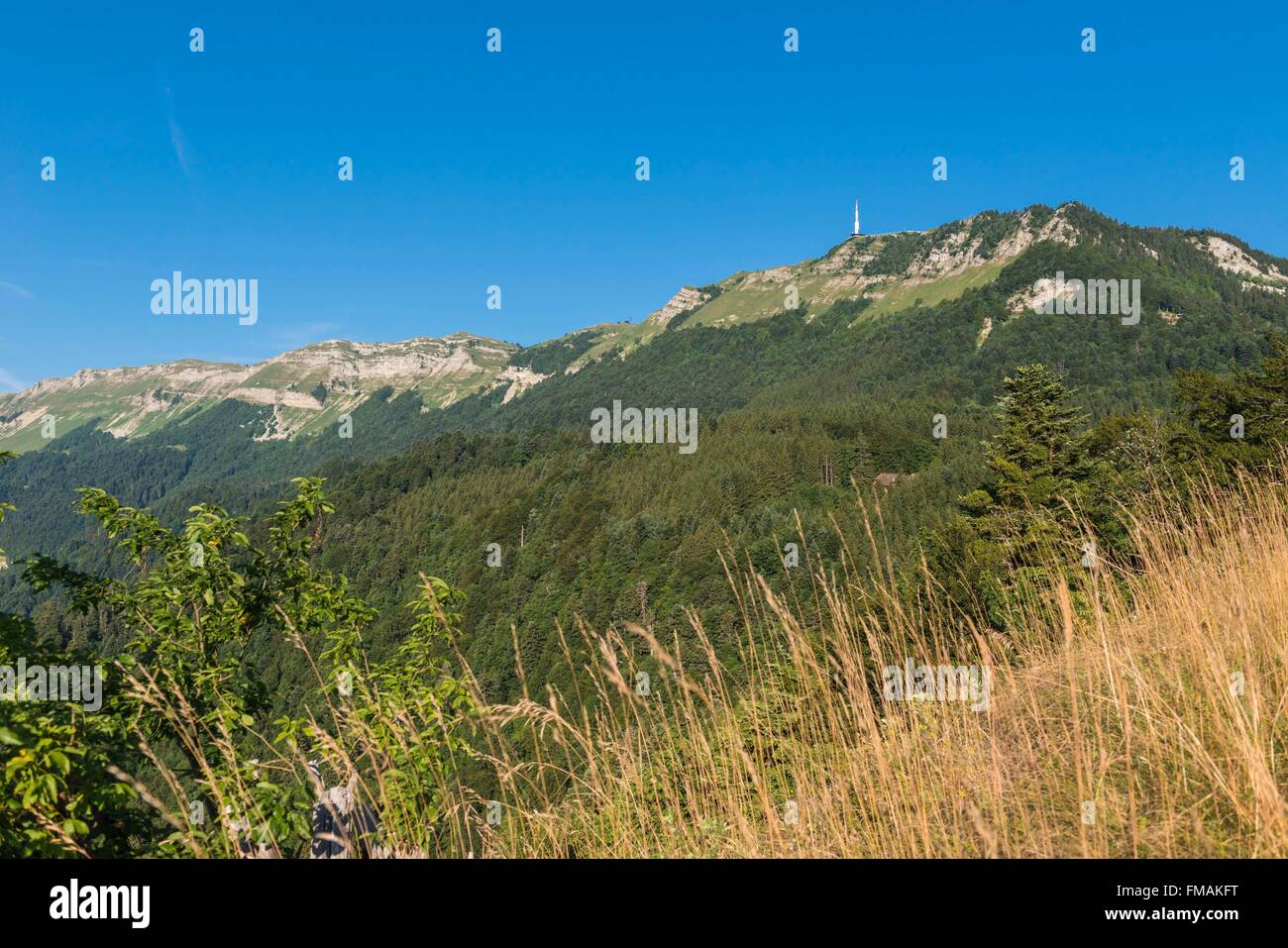 France, Ain, Pays de Gex, Jura High Chain Nature Reserve, the television transmitter at the top of Petit Mont Rond (alt : 1534m) Stock Photo