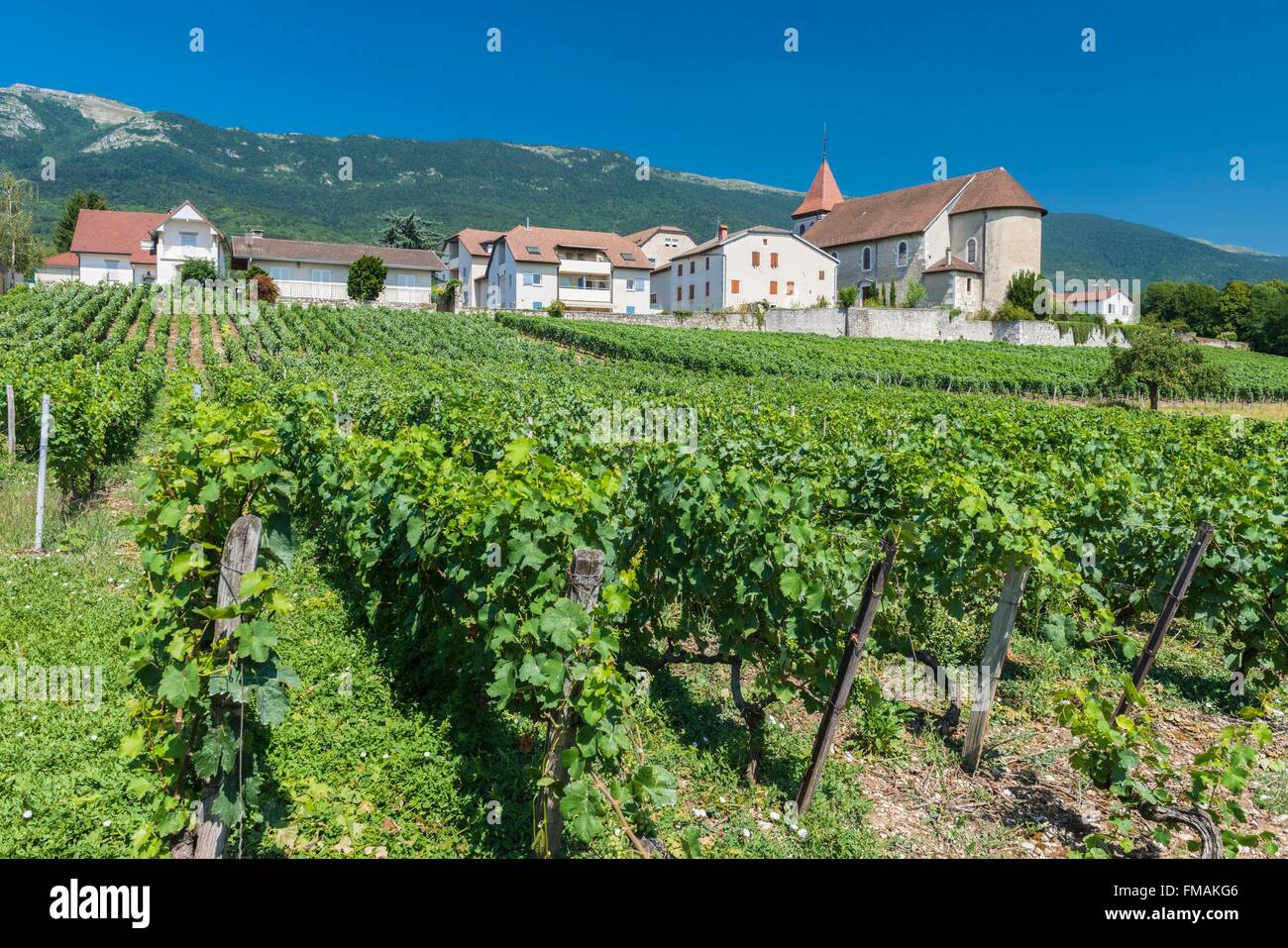 France, Ain, Pays de Gex, Thoiry, 12th century Saint Maurice church Stock Photo