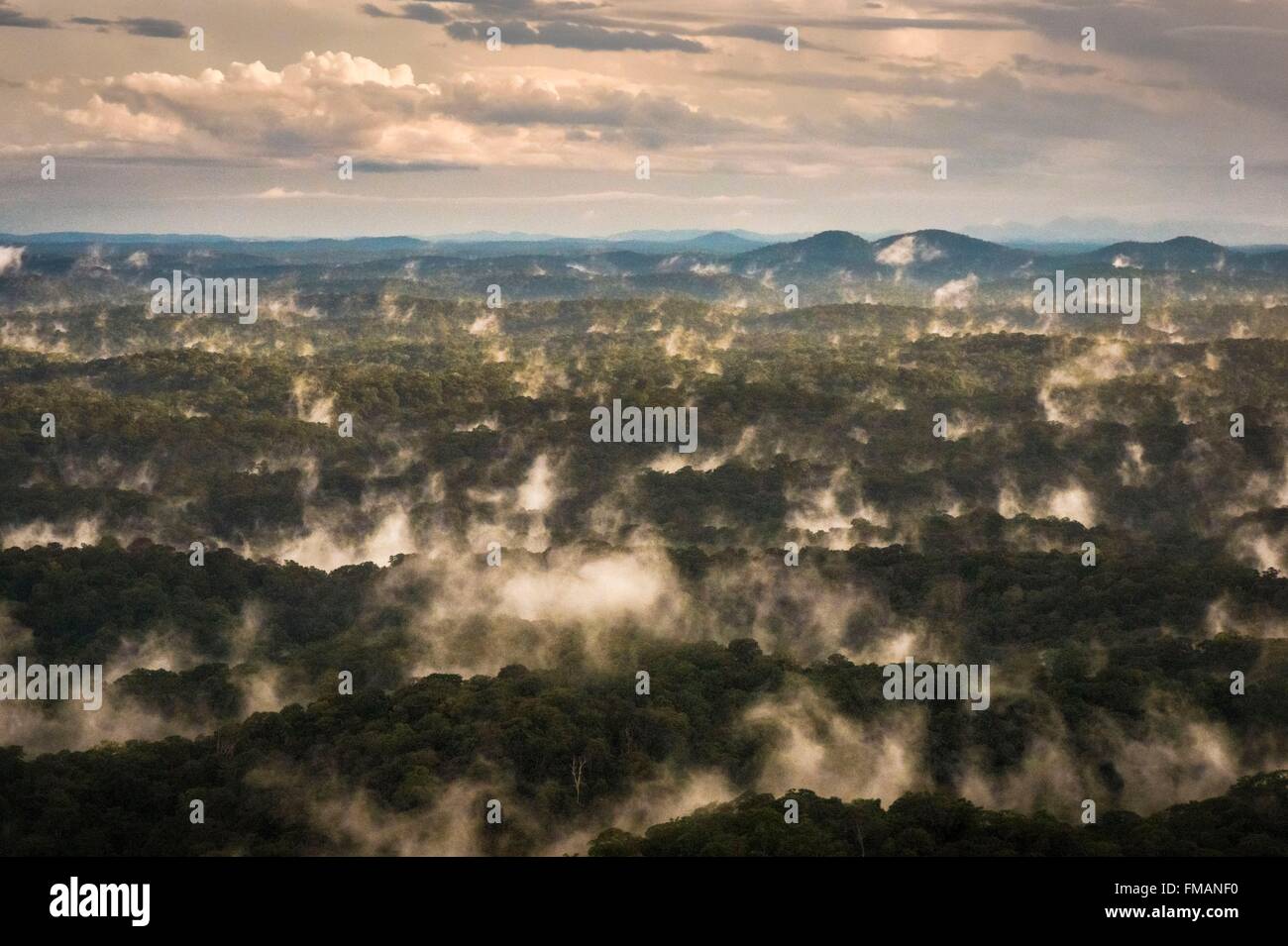 France, Guyana, French Guyana Amazonian Park, heart area, the evening
