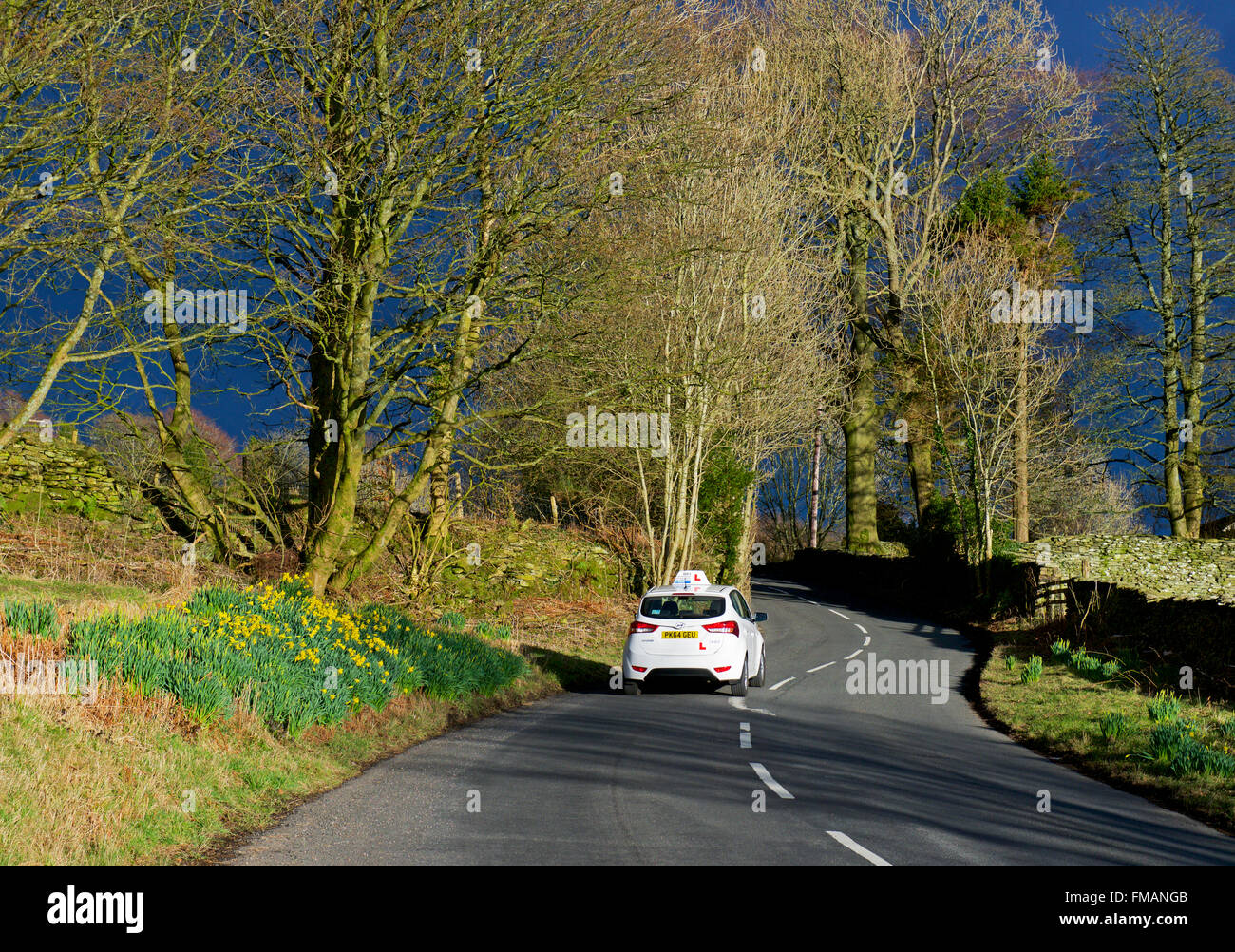 Car on country road in springtime, Cumbria, England UK Stock Photo