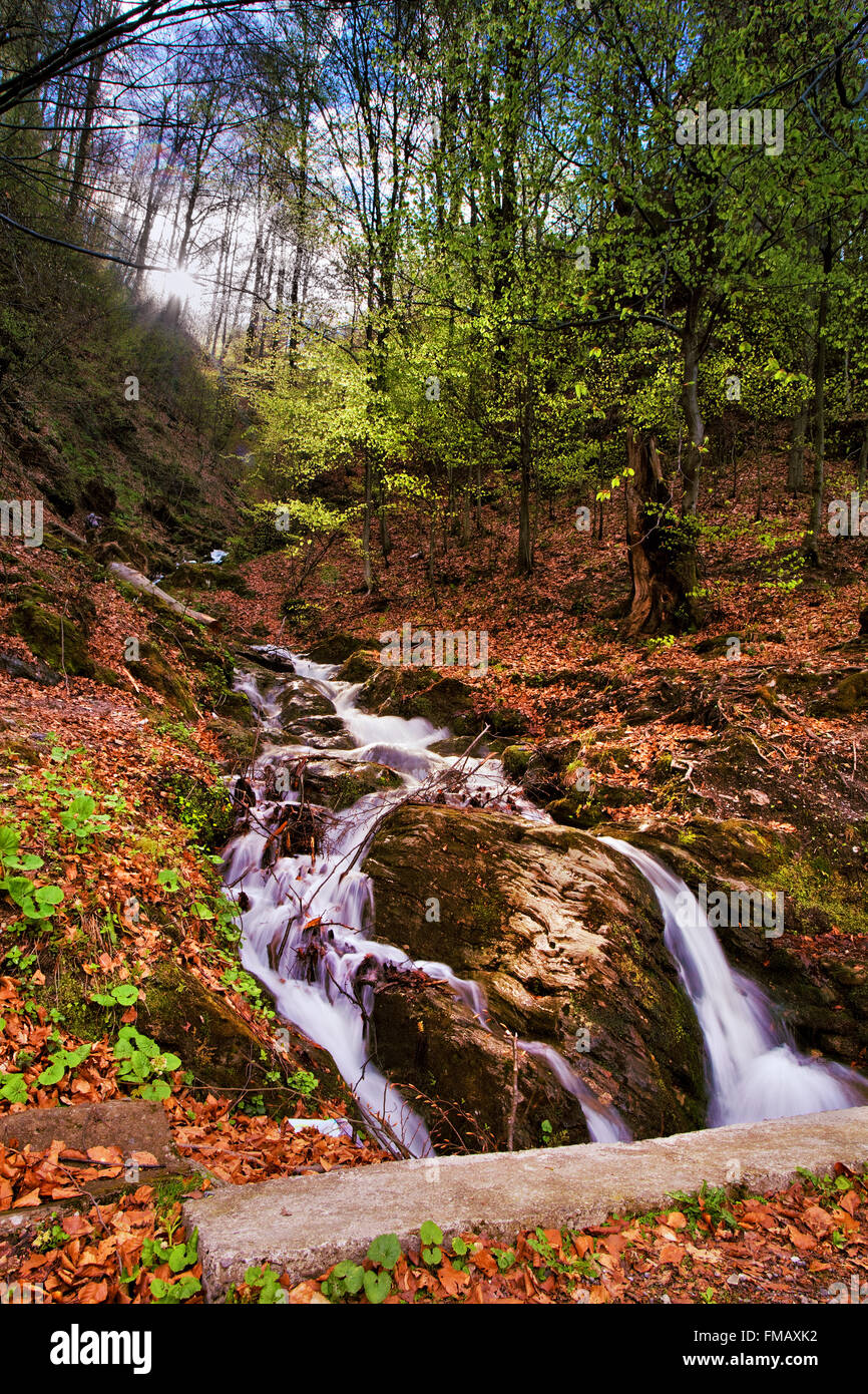 Spring water stream in river hi-res stock photography and images - Alamy