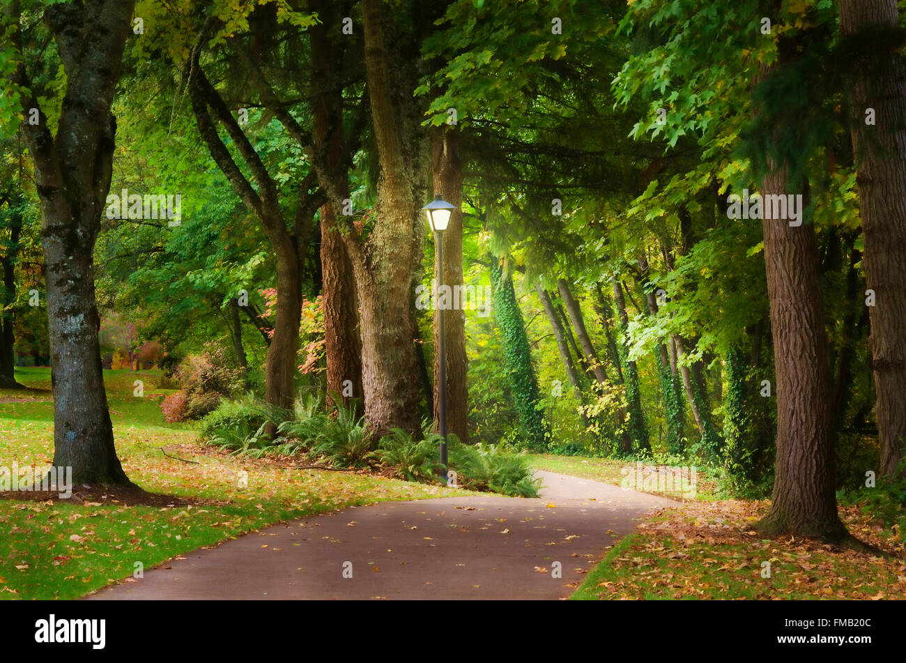 A glowing lamp post at the edge of a fantasy woodland path beckons the viewer to enter on an journey filled with new beginnings. Stock Photo