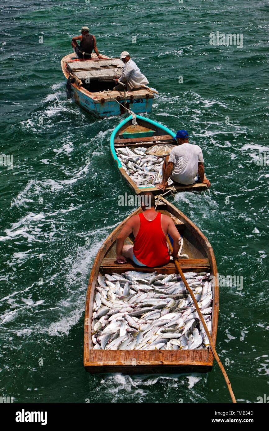 Cuba, Ciego de Avila, Jardines del Rey, Cayo Guillermo, File fish laden boats Stock Photo