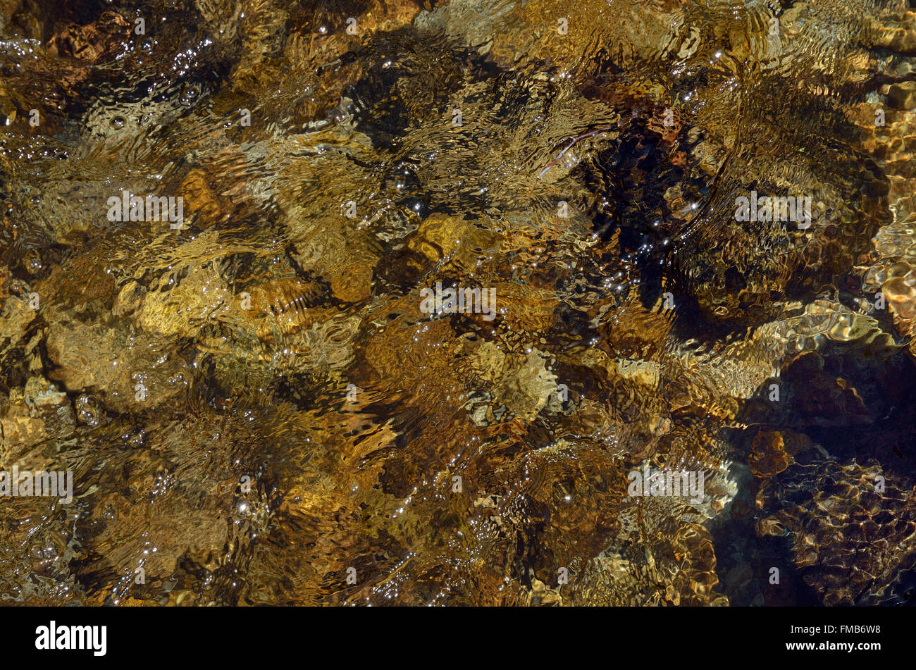Close-up of the mountain riverbed through clear water flowing Stock Photo