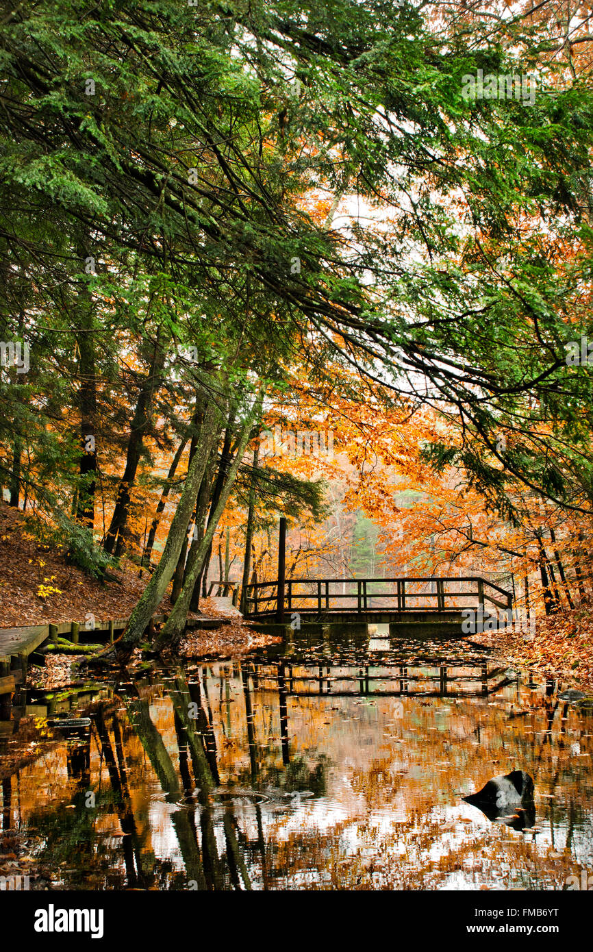 Fall landscape of wooden bridge along nature trail at Chenango Valley 