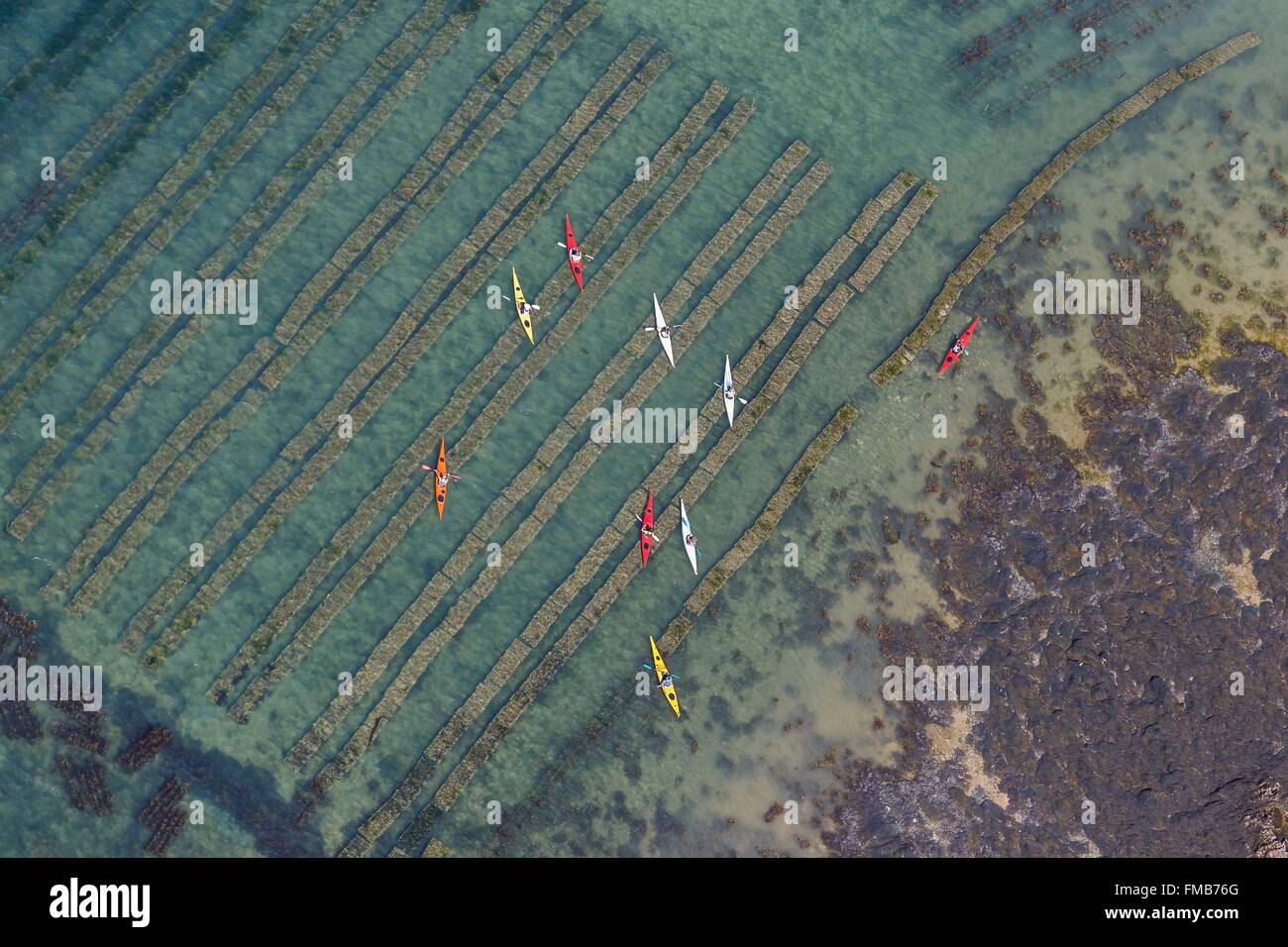 France, Morbihan, Gulf of Morbihan, kayaks above Petit Veizit oyster farm (aerial view) Stock Photo
