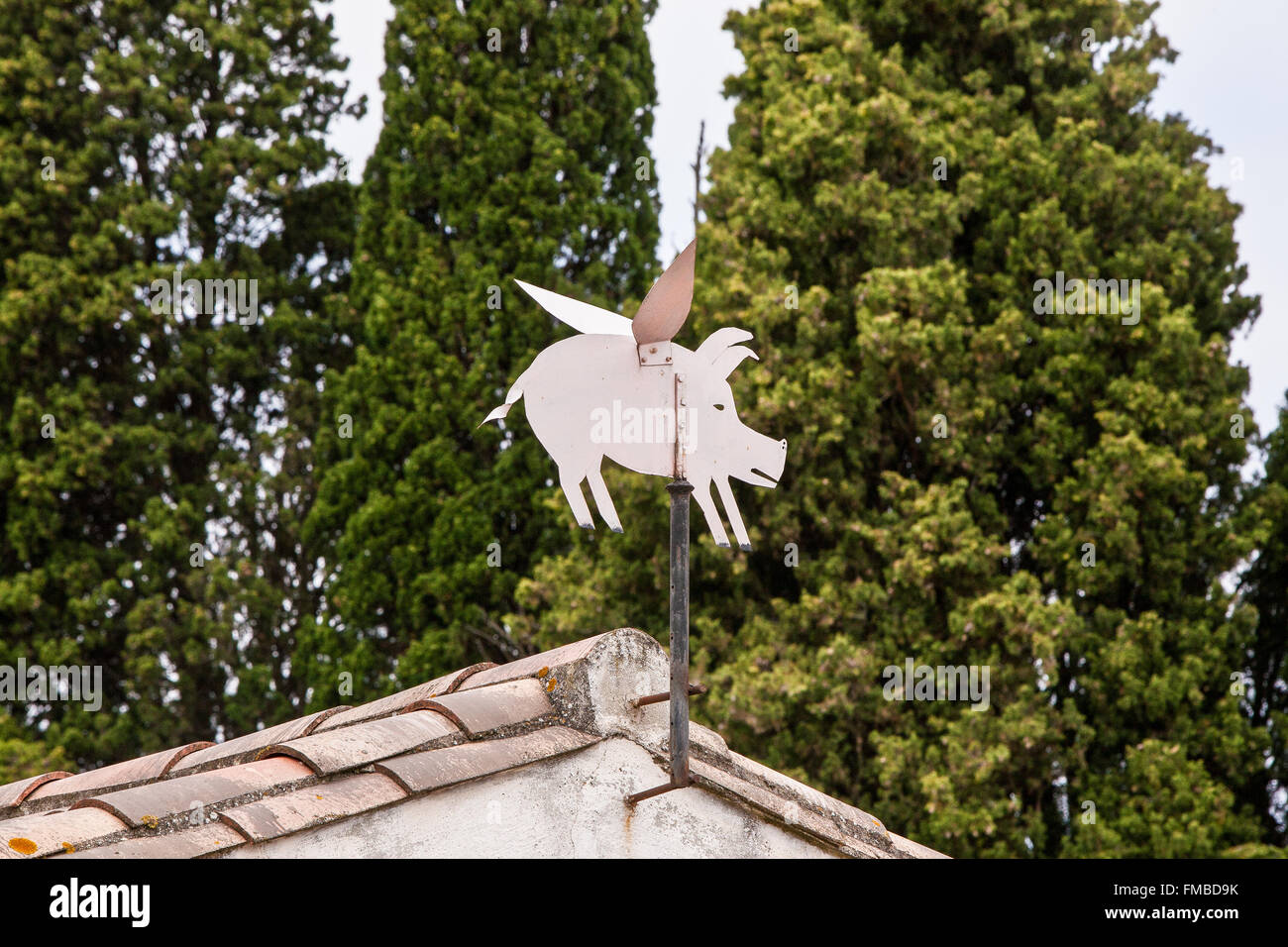 Flying pig wind weather vane at artists run aiguille lock hires stock