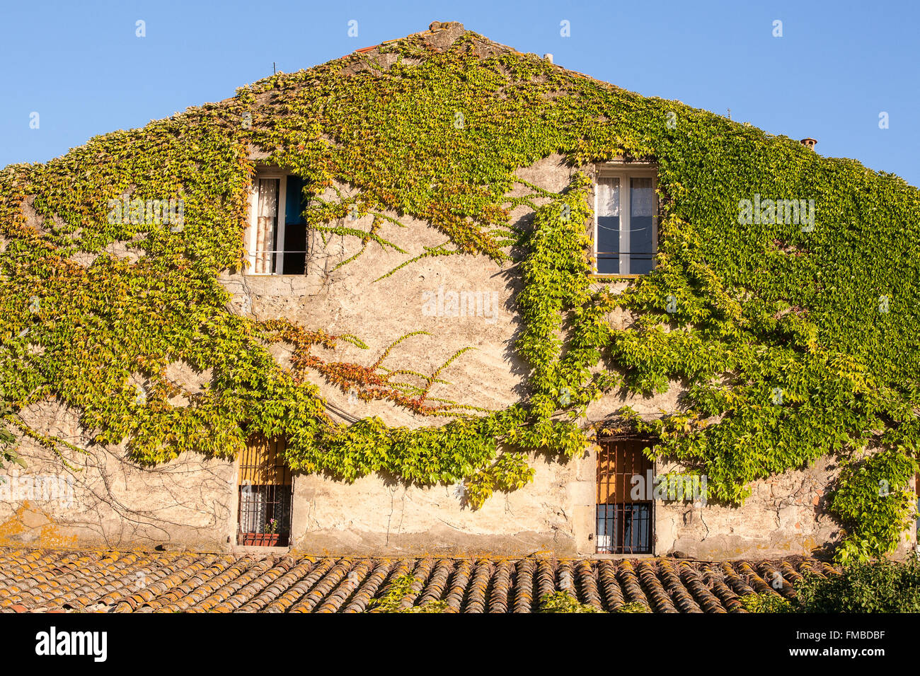 Ivy covered restaurant,lock building along Canal Du Midi in Le Somail. cycling,cruise,boats,Aude,Carcassonne,South,France,Europe Stock Photo