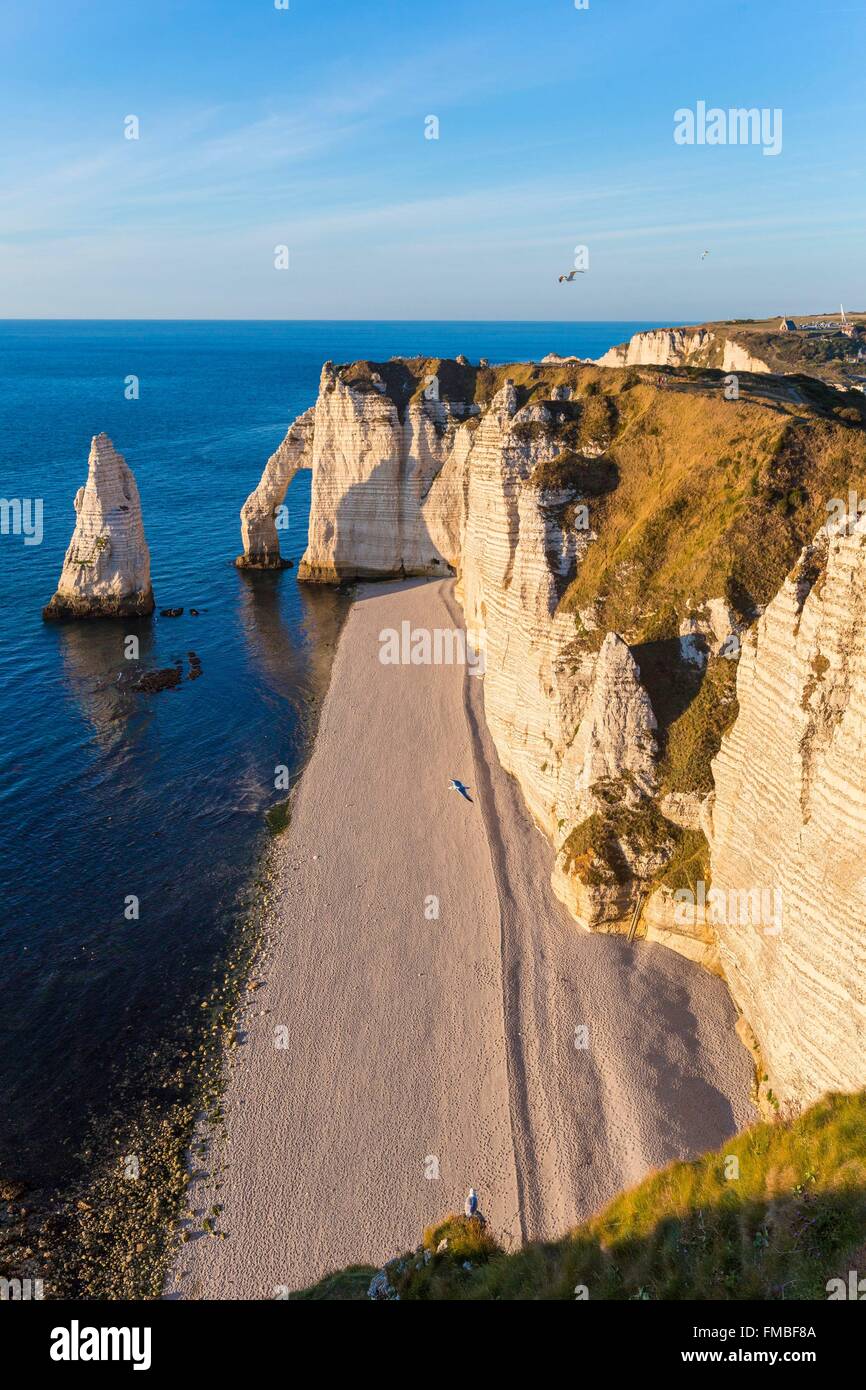 France, Seine Maritime, Caux, Alabaster Coast, Etretat, the Aval cliff ...