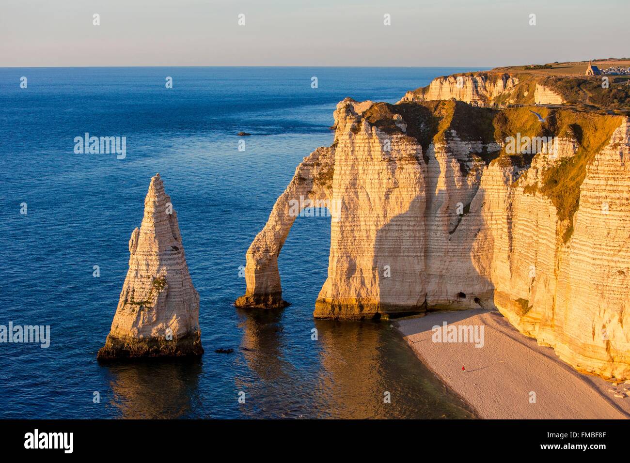 France, Seine Maritime, Caux, Alabaster Coast, Etretat, the Aval cliff ...