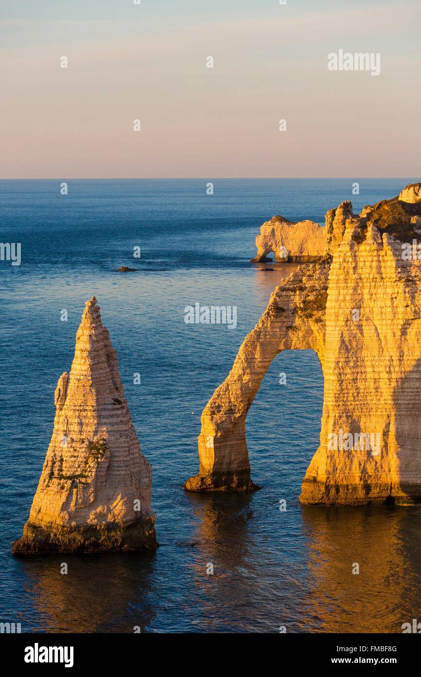 France, Seine Maritime, Caux, Alabaster Coast, Etretat, the Aval cliff ...