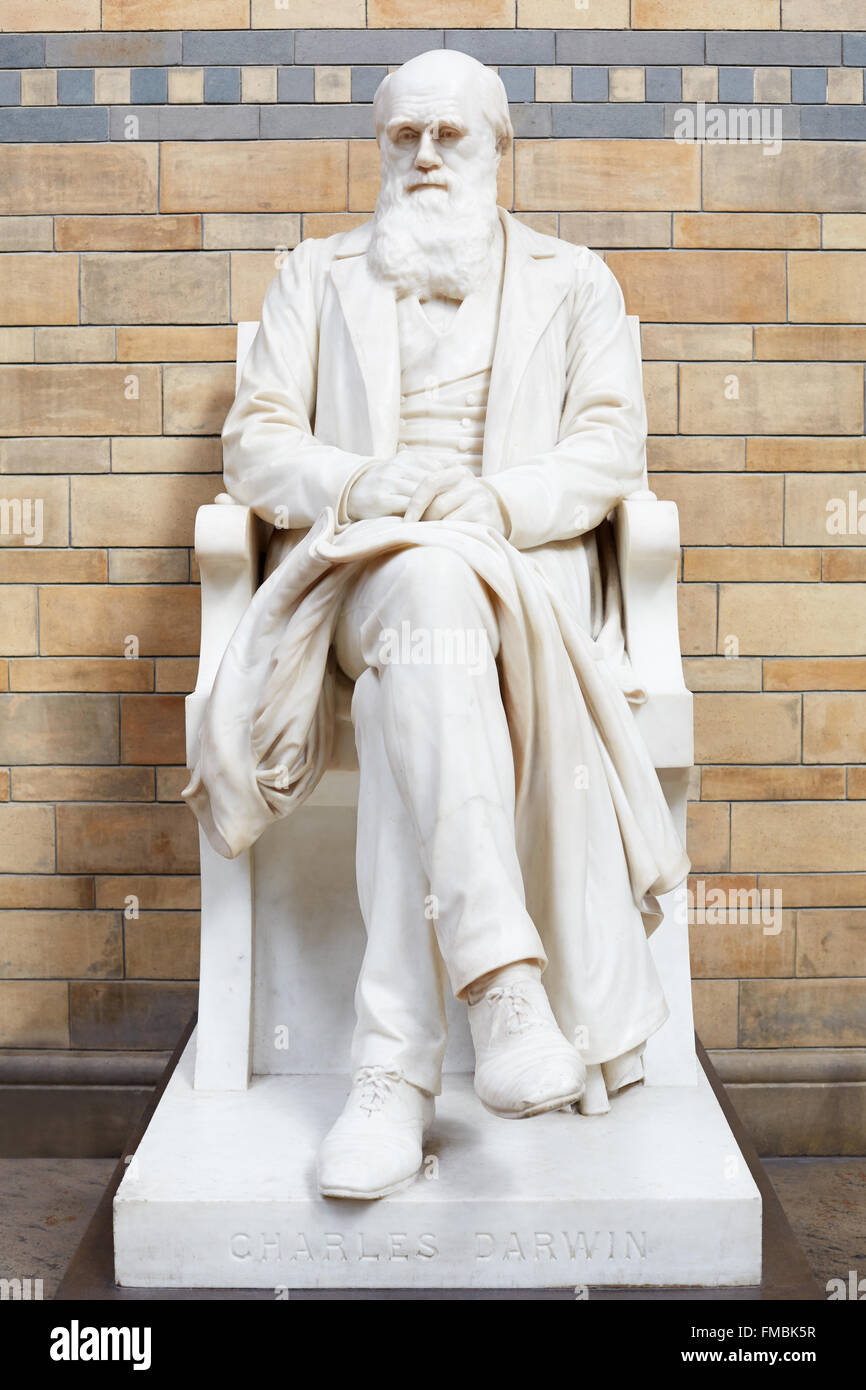 Charles Darwin white marble statue in Natural History Museum in London Stock Photo