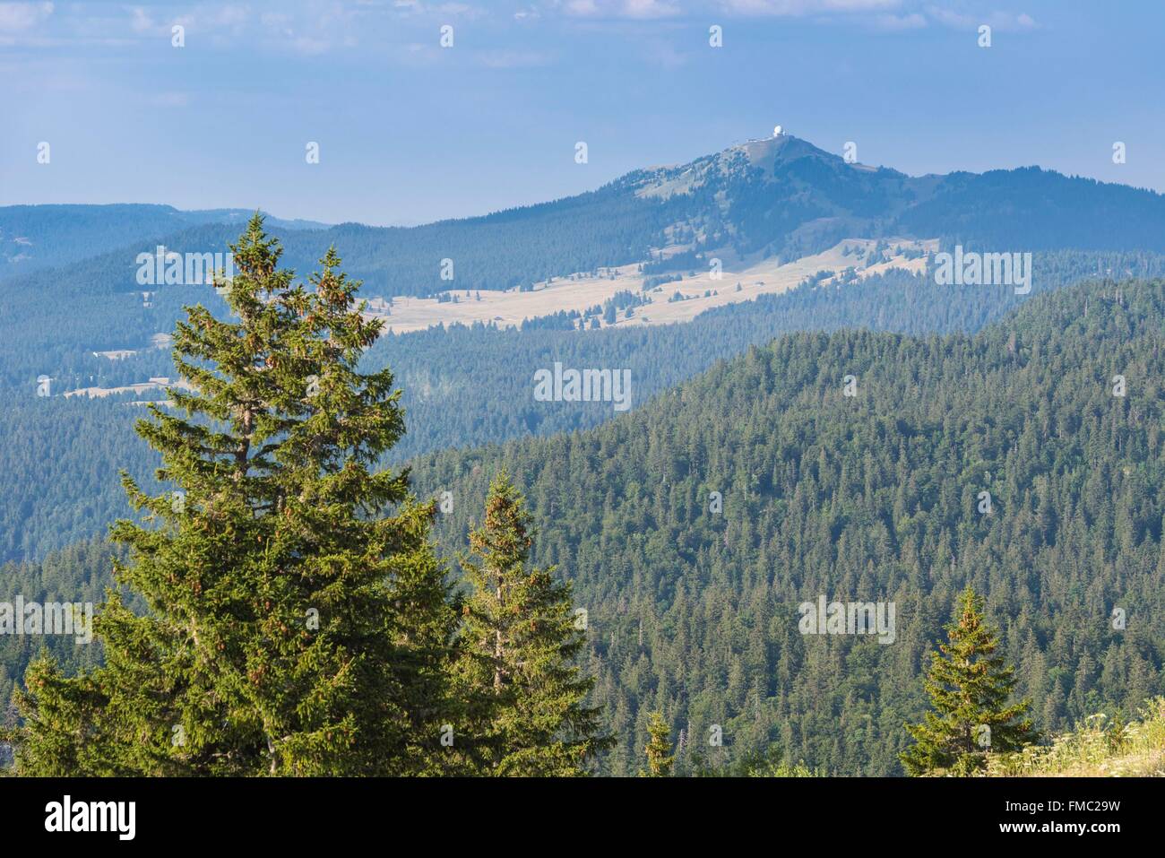 France, Ain, Pays de Gex, Jura High Chain Nature Reserve, panorama from the Petit Mont Rond