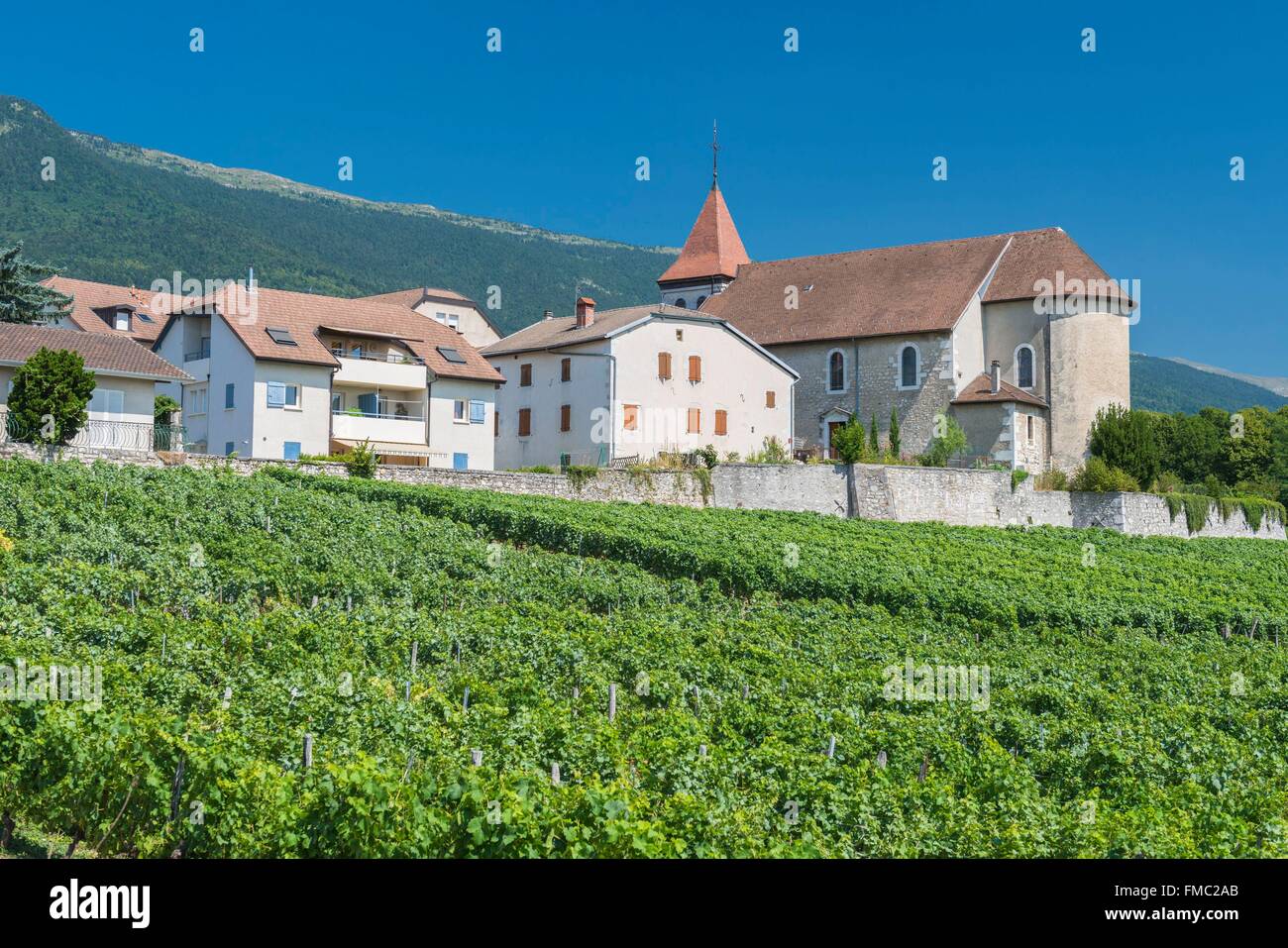 France, Ain, Pays de Gex, Thoiry, 12th century Saint Maurice church Stock Photo