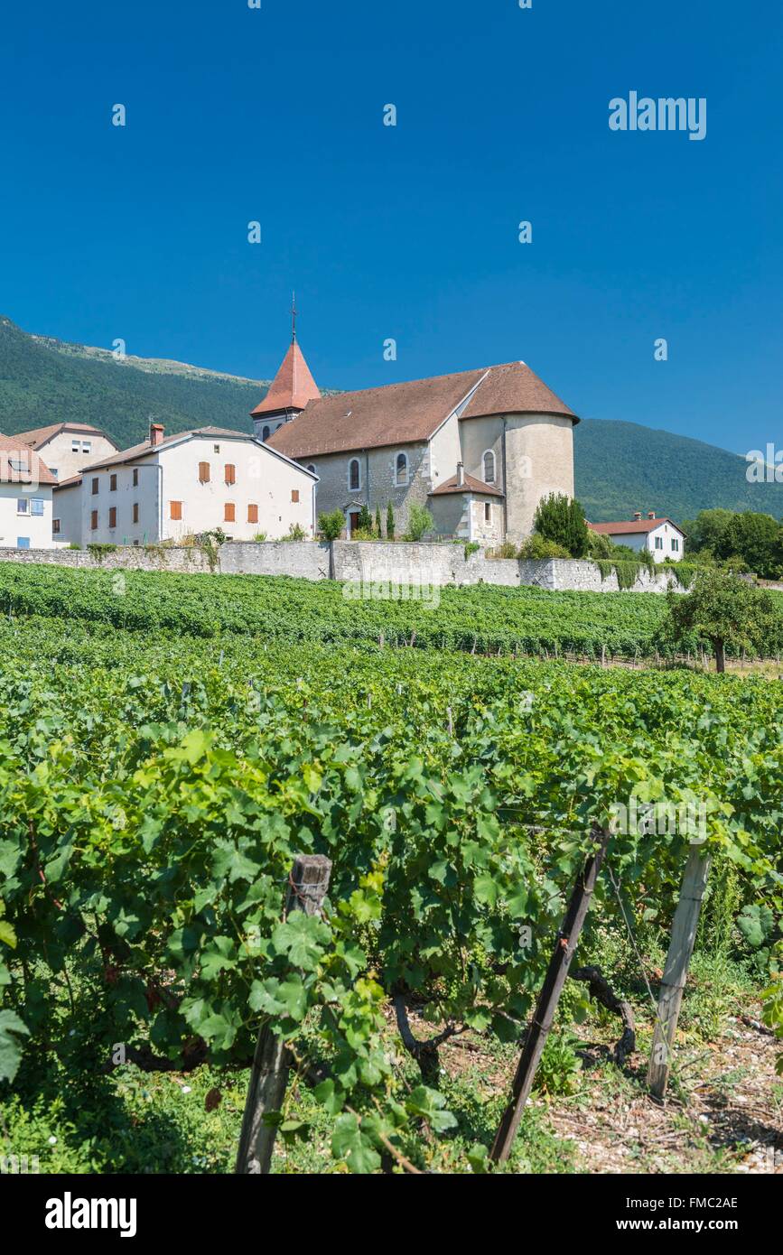 France, Ain, Pays de Gex, Thoiry, 12th century Saint Maurice church Stock Photo