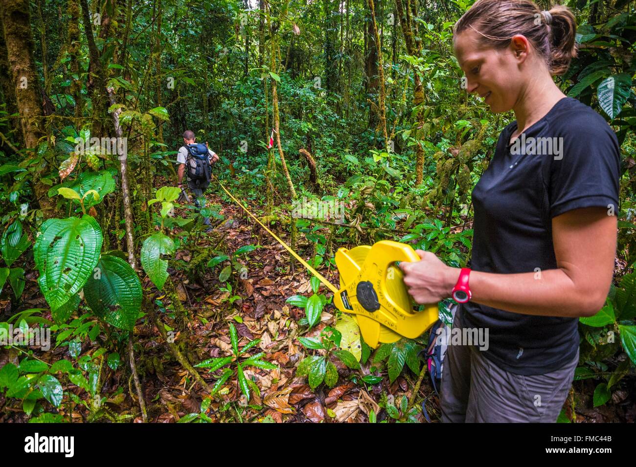 France, Guyana, French Guyana Amazonian Park, heart area, Camopi, 2 scientists identify study plots on Mount Itoupe (830 m), Stock Photo