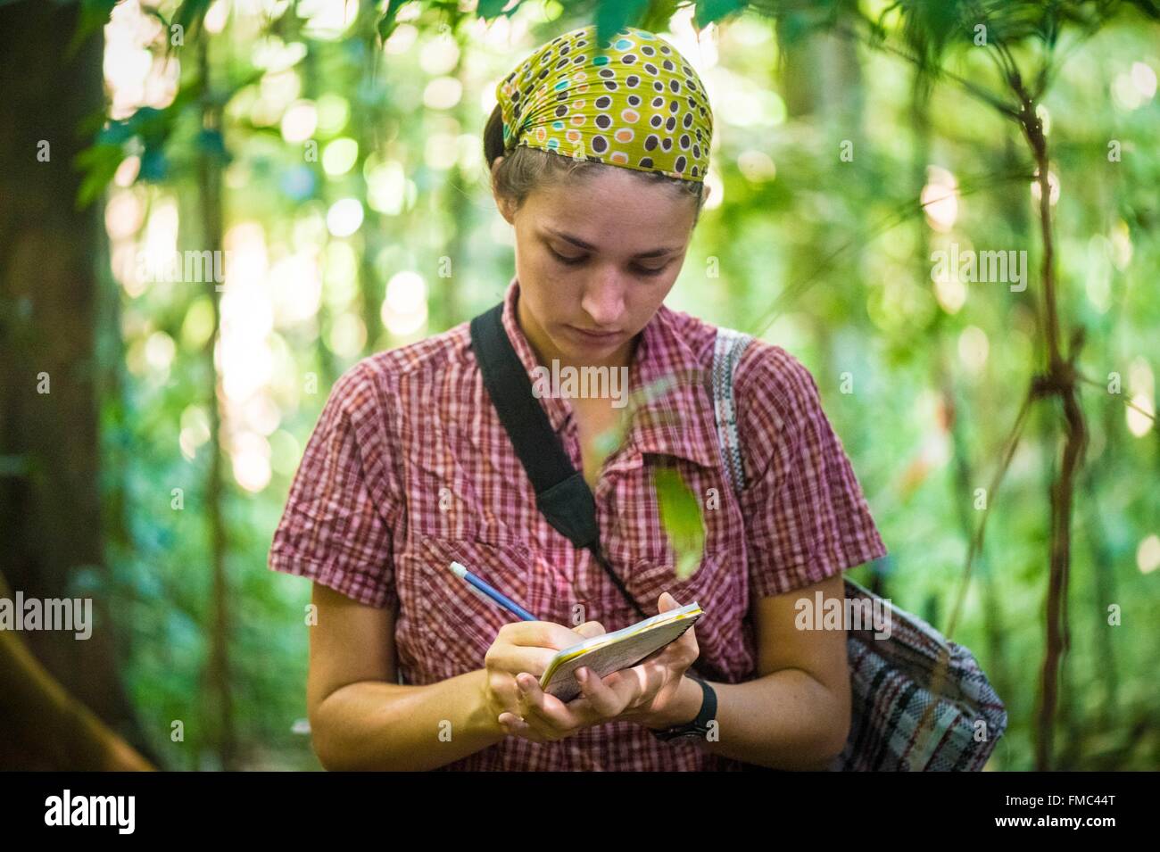 France, Guyana, French Guyana Amazonian Park, heart area, Camopi, botanist taking notes on Mount Itoupe (830 m), the second Stock Photo