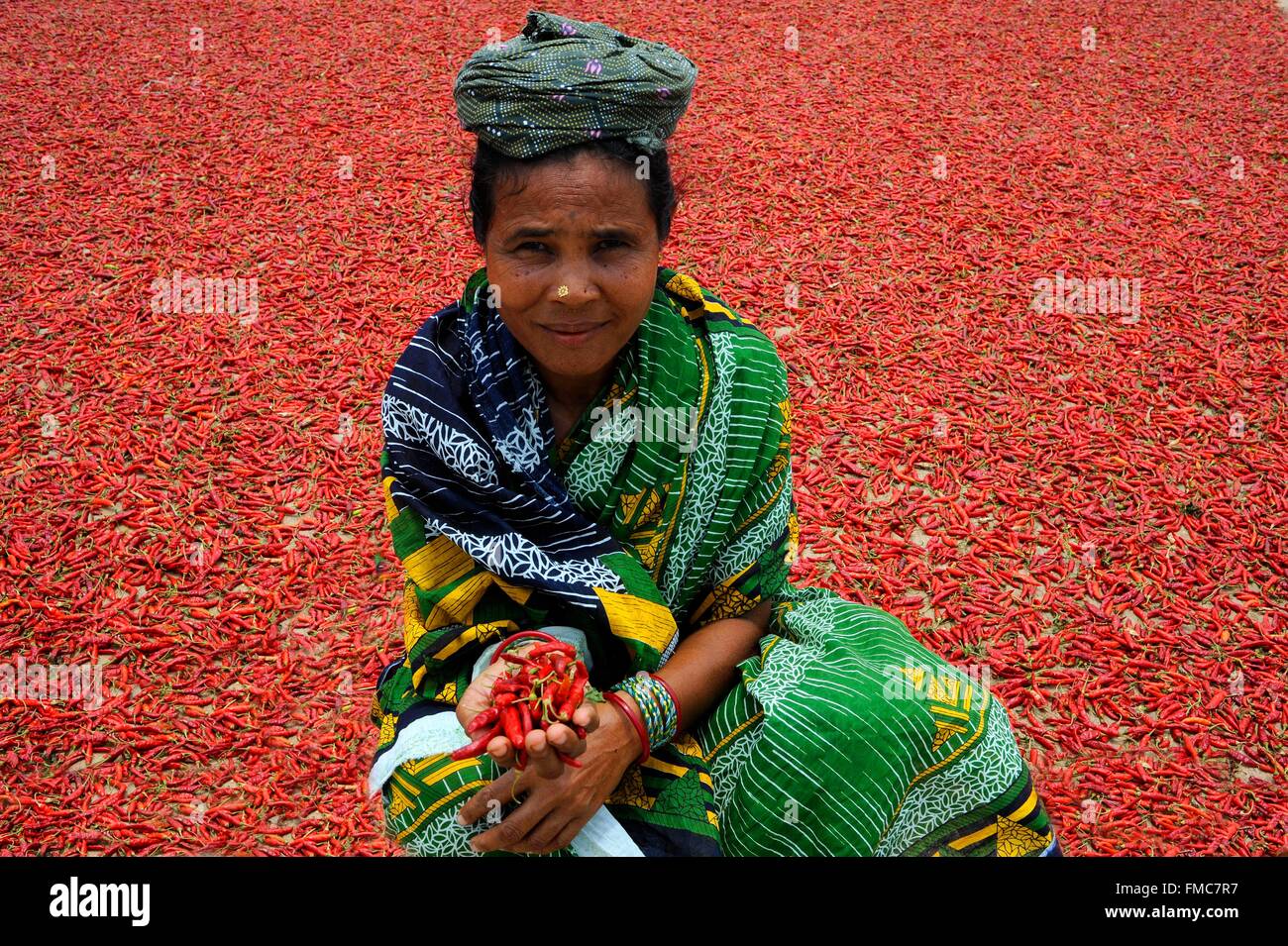 India, Odisha, drying of the harvest of hot peppers Stock Photo