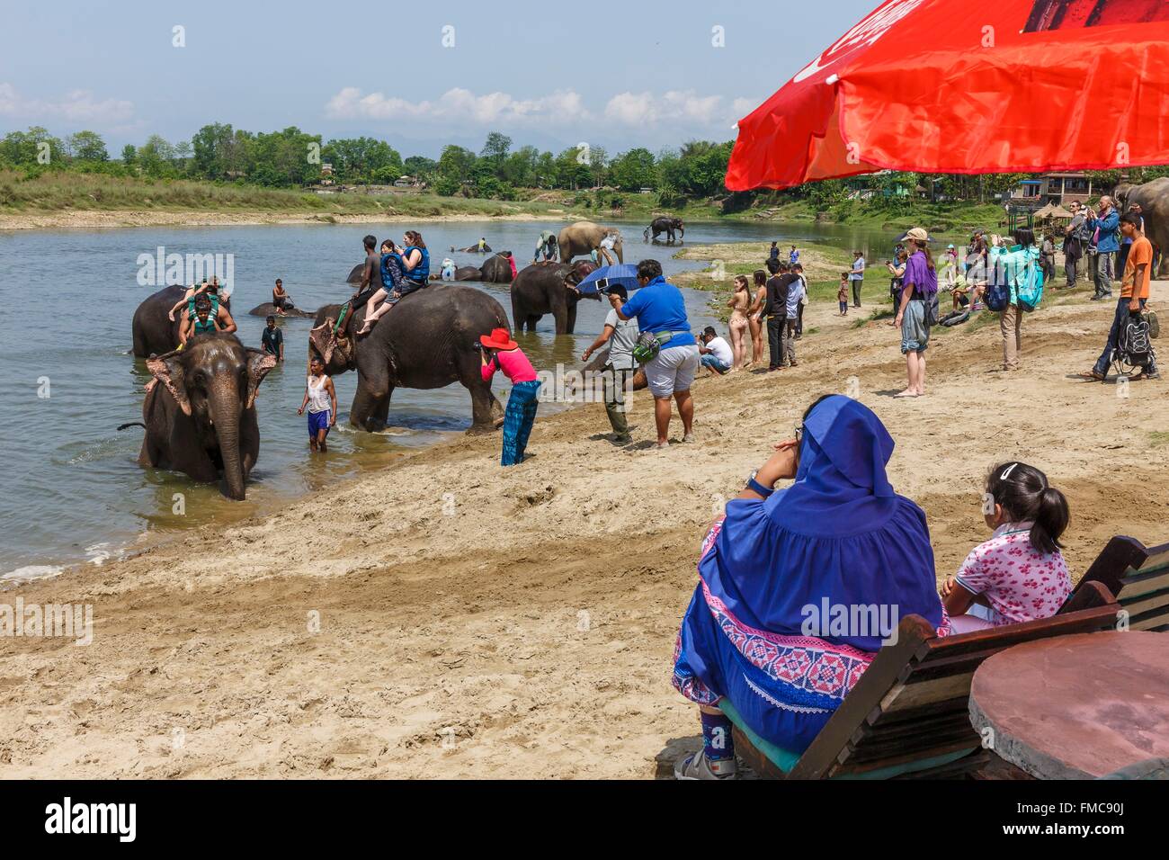 Nepal, Narayani zone, Sauraha, Chitwan national park listed as World Heritage by UNESCO, elephant bathing in the Rapti river Stock Photo