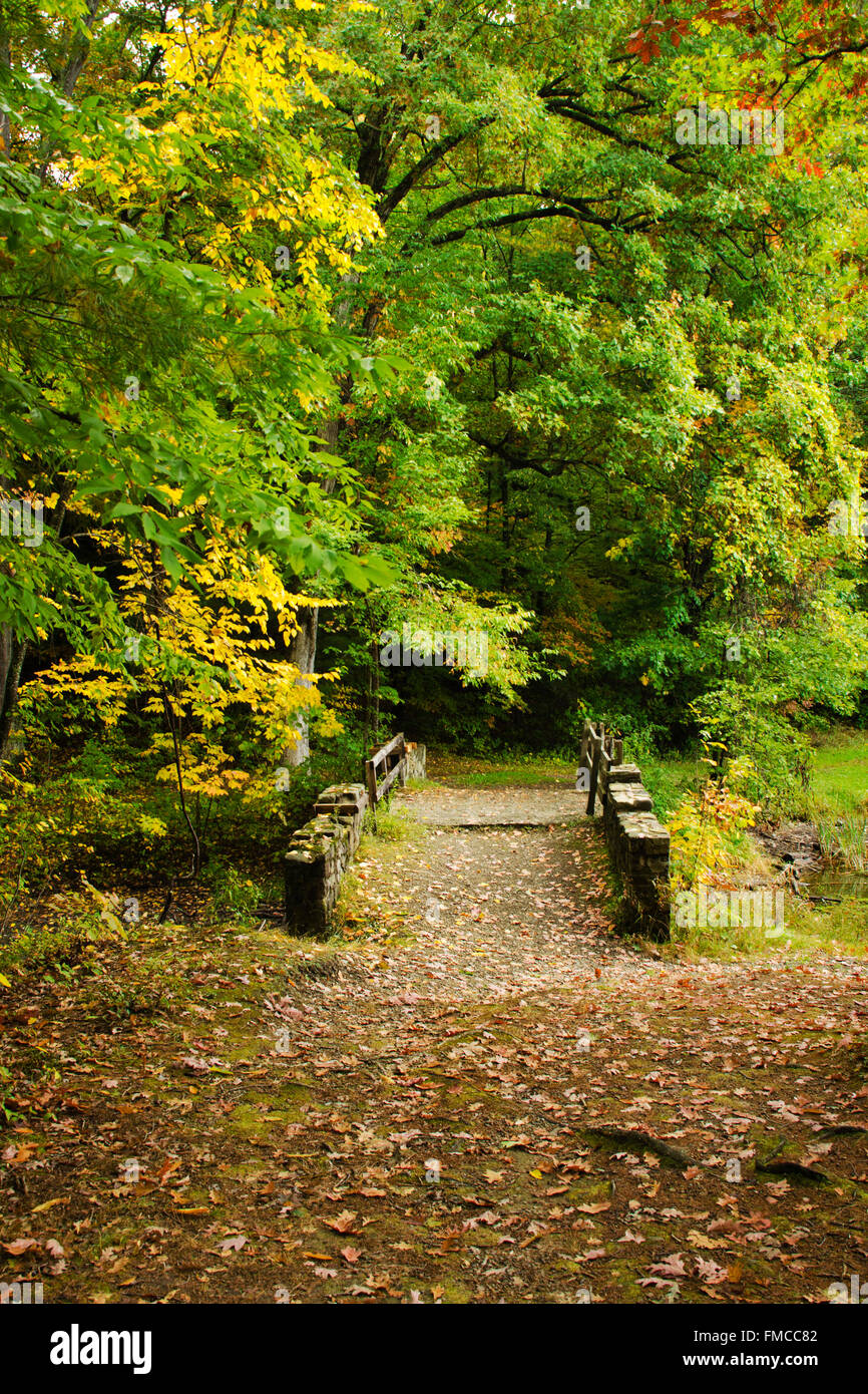 Stone bridge on nature trail through woods at Chenango Valley State