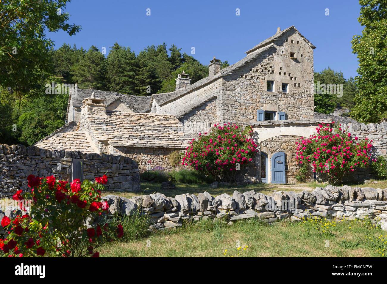 Saint rome de dolan hi-res stock photography and images - Alamy