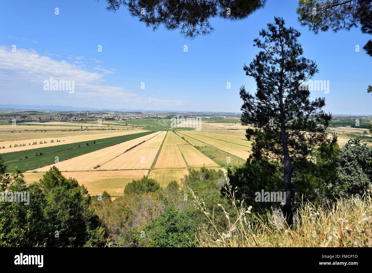 France, Herault, The pond of Montady is a former pond dried up in the Middle Ages which is situated at the foot of the Oppidum Stock Photo