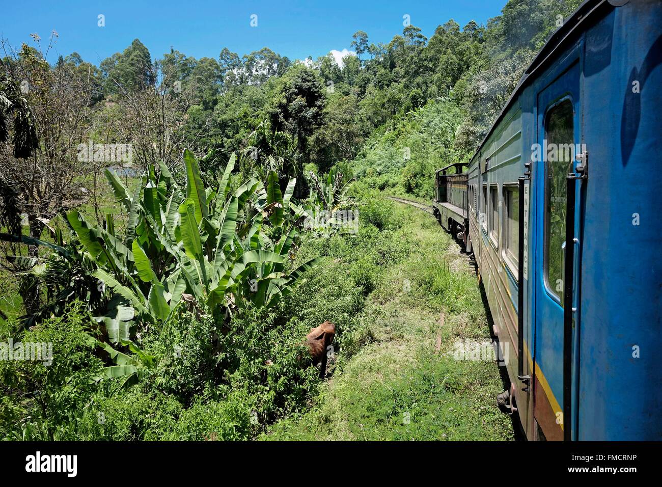 Sri Lanka, train Ella-Colombo, overlooking the landscape and vegetation Stock Photo