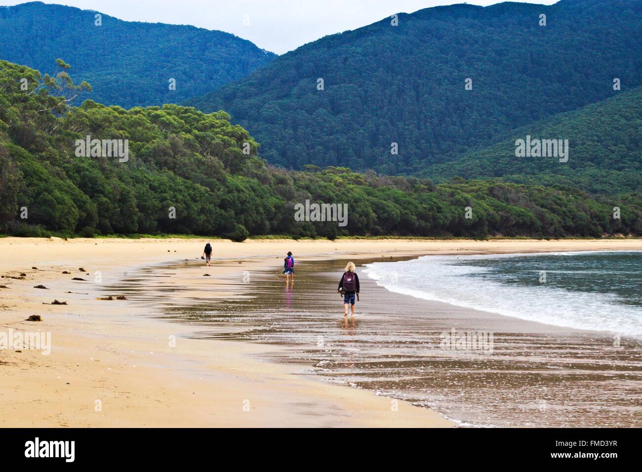 Three hikers walking along the deserted beach at Sealers Cove, at
