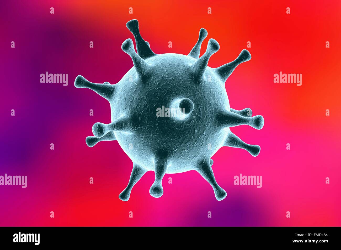 Herpes simplex virus, computer artwork. Stock Photo