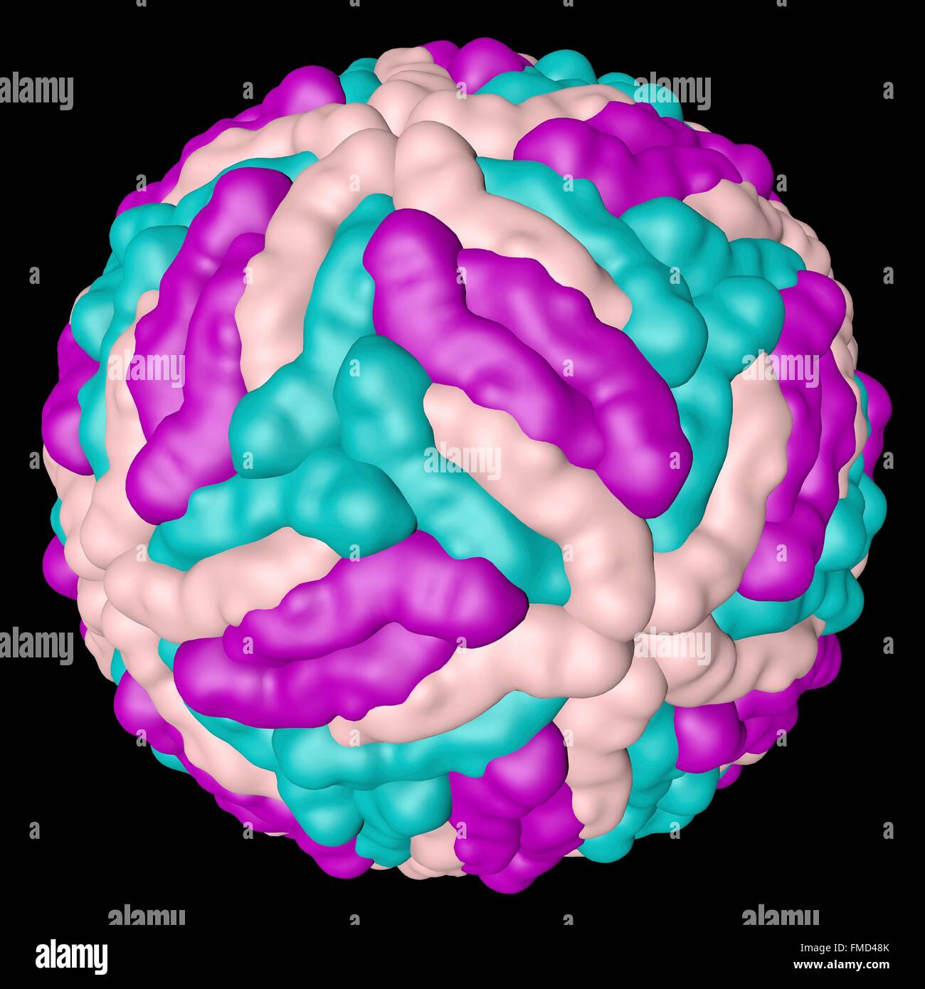 Dengue virus, computer model. Dengue virus is an RNA-virus from Flaviviridae family. It is transmitted by mosquitoes, and causes the tropical disease dengue fever. Symptoms can range from a mild fever and joint pain to spontaneous bleeding of the skin and circulatory failure, which are often fatal. Stock Photo