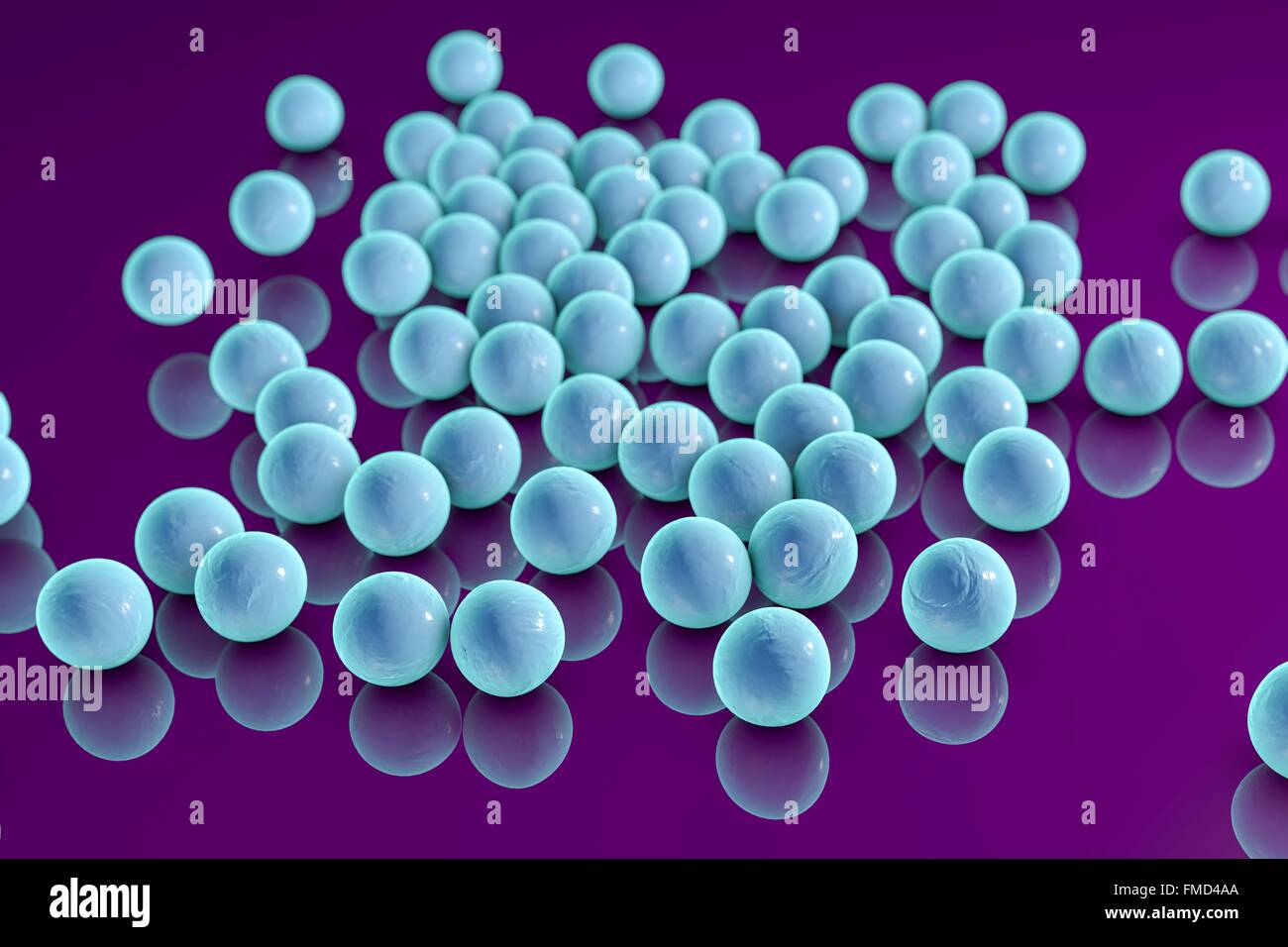 Computer illustration of staphylococci bacteria (Staphylococcus Stock