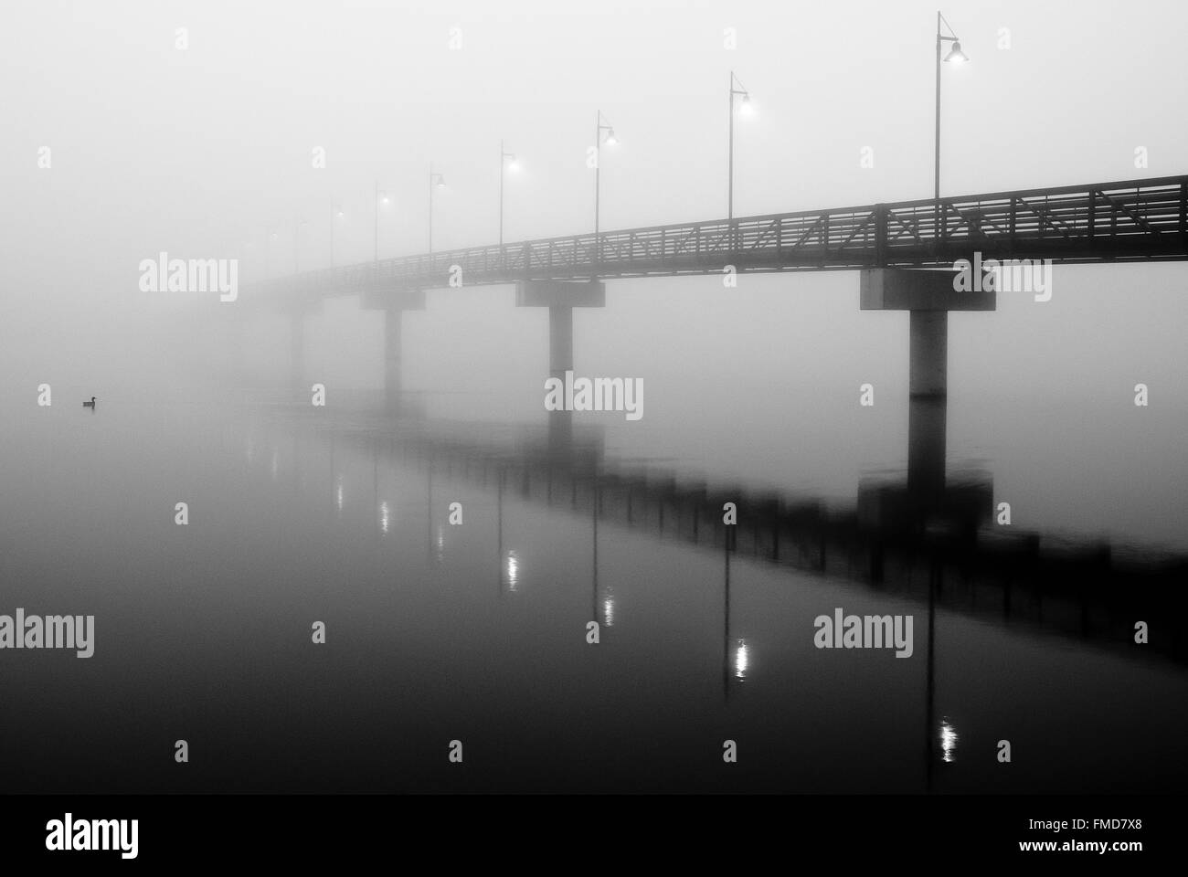 Early morning fog at White Rock Lake obscures the eastern portion of the pedestrian bridge. Stock Photo