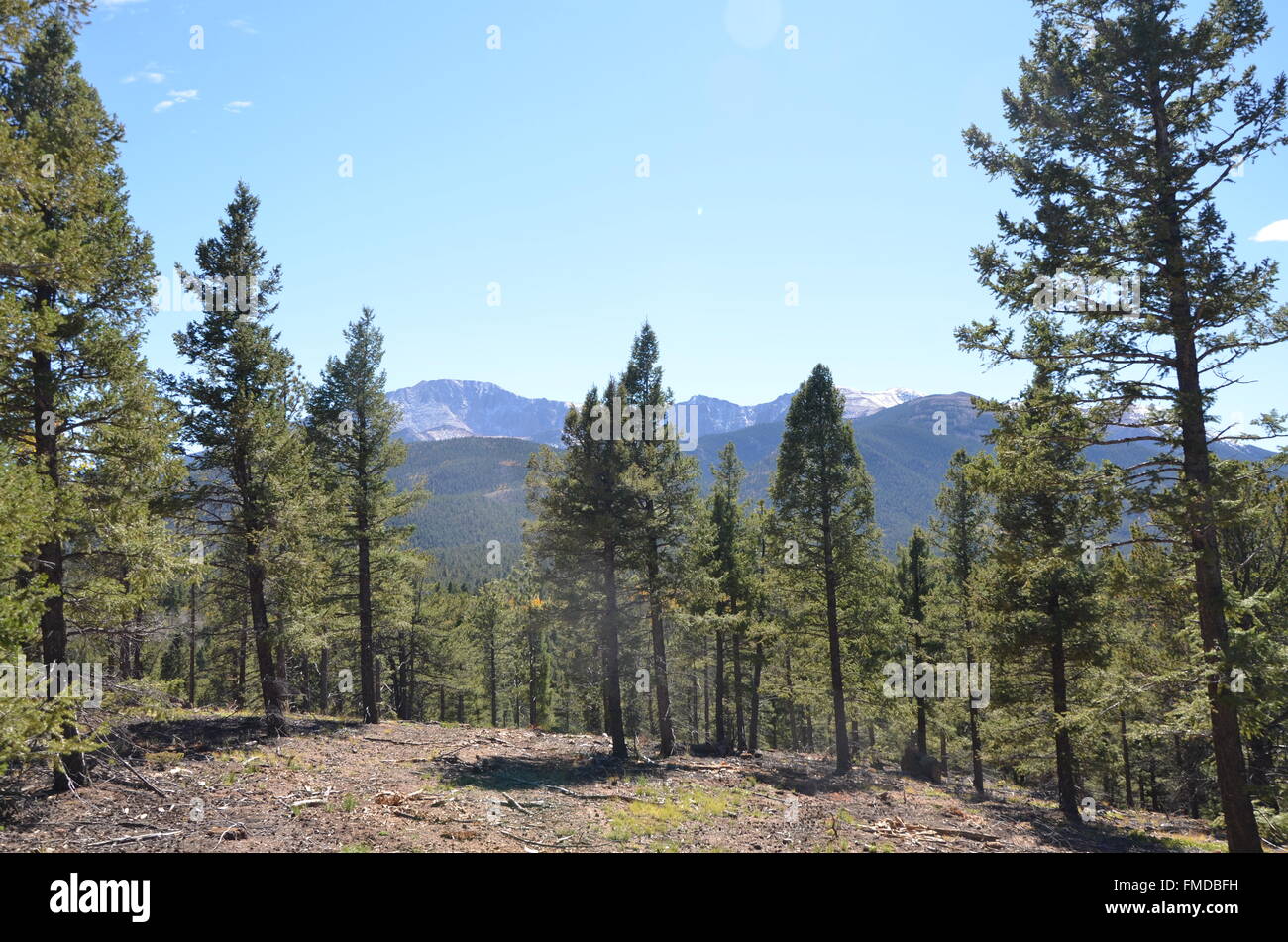 View Of Pikes Peak Colorado Through The Trees Stock Photo Alamy