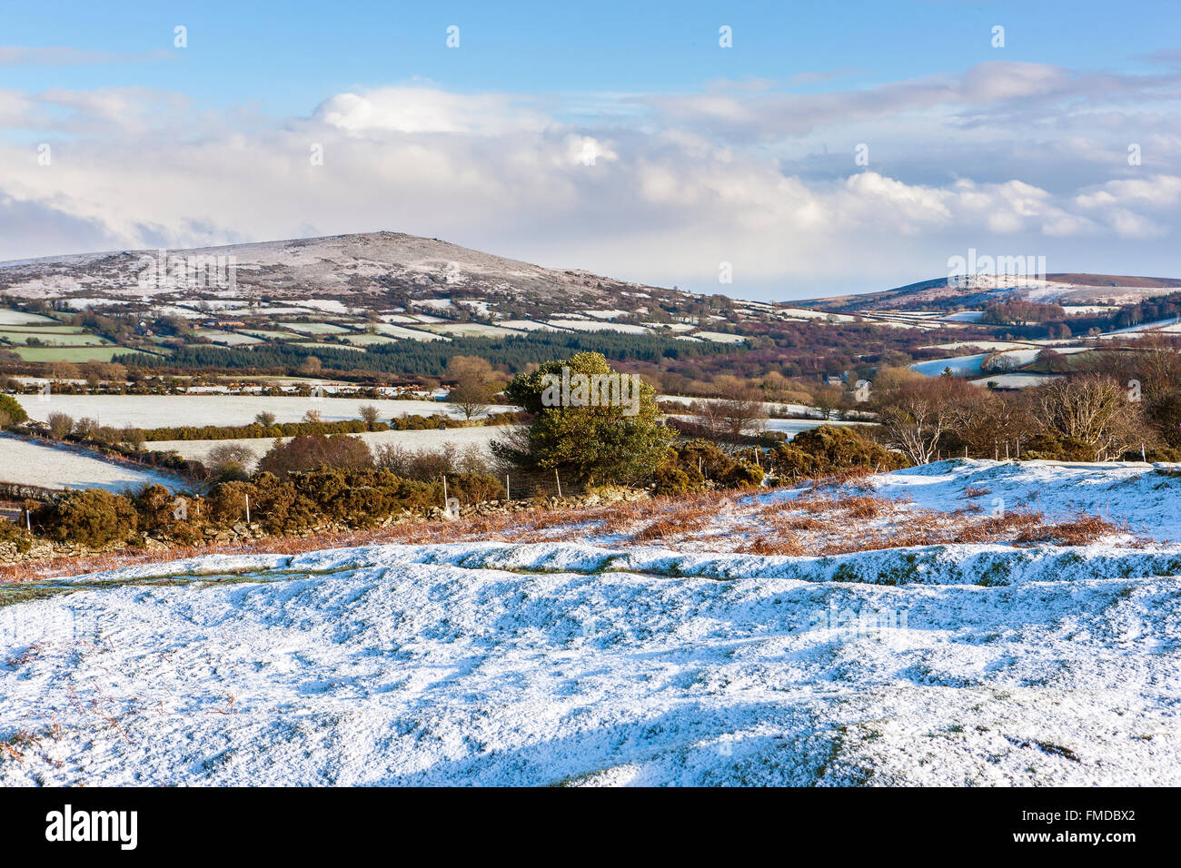 After snowfall in Dartmoor National Park near North Bovey, England, UK, Europe. Stock Photo