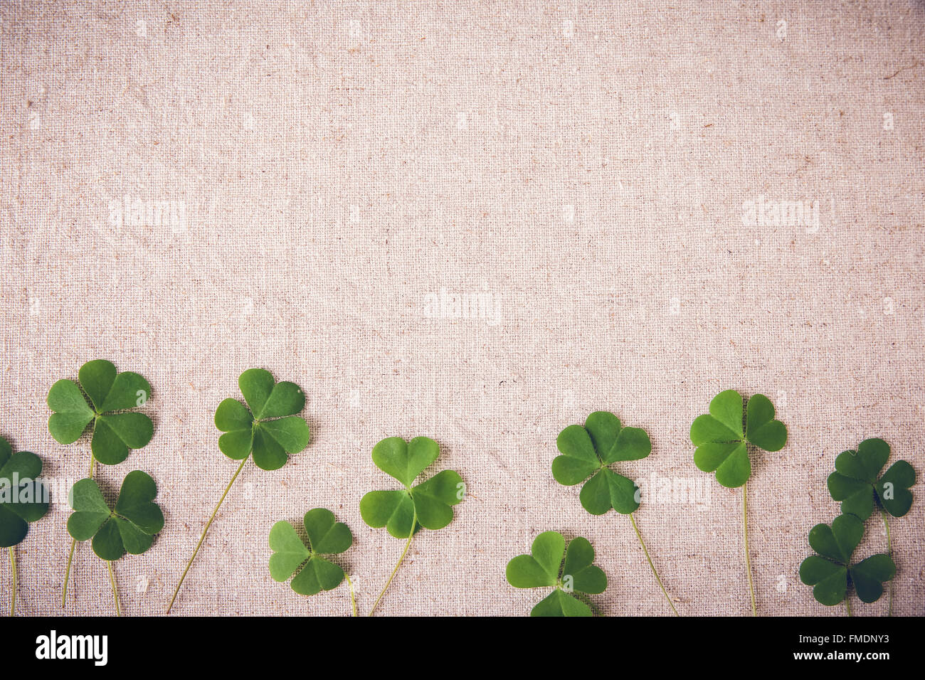 Fresh clovers leaves on linen, St Patricks day copy space background Stock Photo