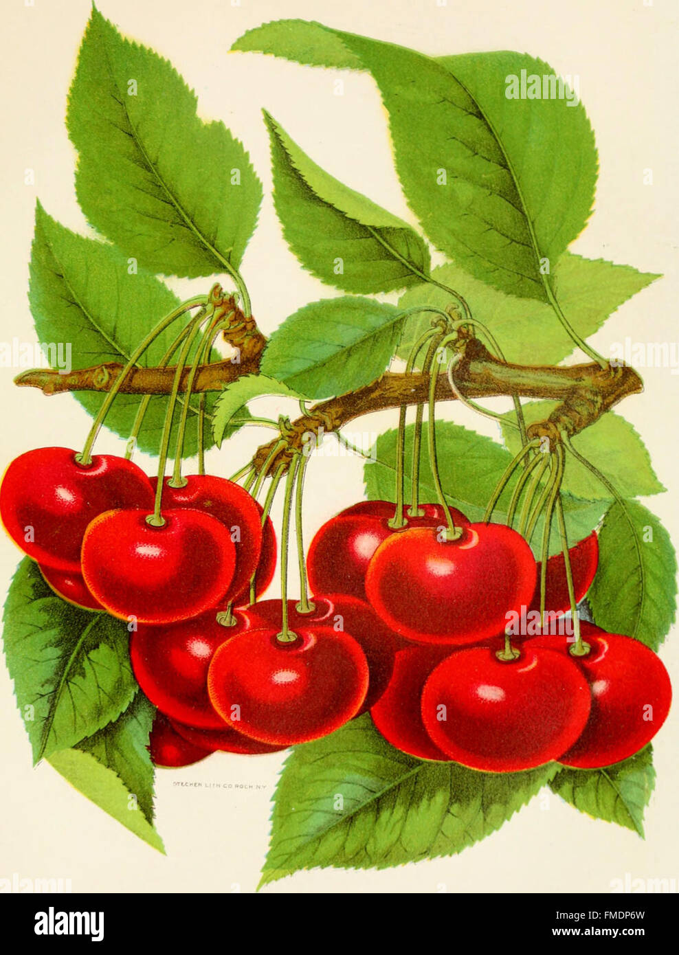 historical and industrial (1901 Stock Photo Alamy